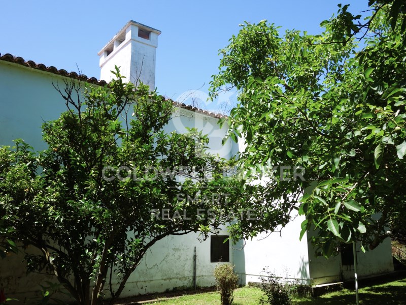 A Coru?a, Oleiros, Dexo-Lorb?, Lorb? A Coru?a, Ole, Oleiros, Galicia, ES, 5 Bedrooms Bedrooms, ,3 BathroomsBathrooms,Residential,For Sale,A Coru?a, Oleiros, Dexo-Lorb?, Lorb? A Coru?a, Ole,1449015
