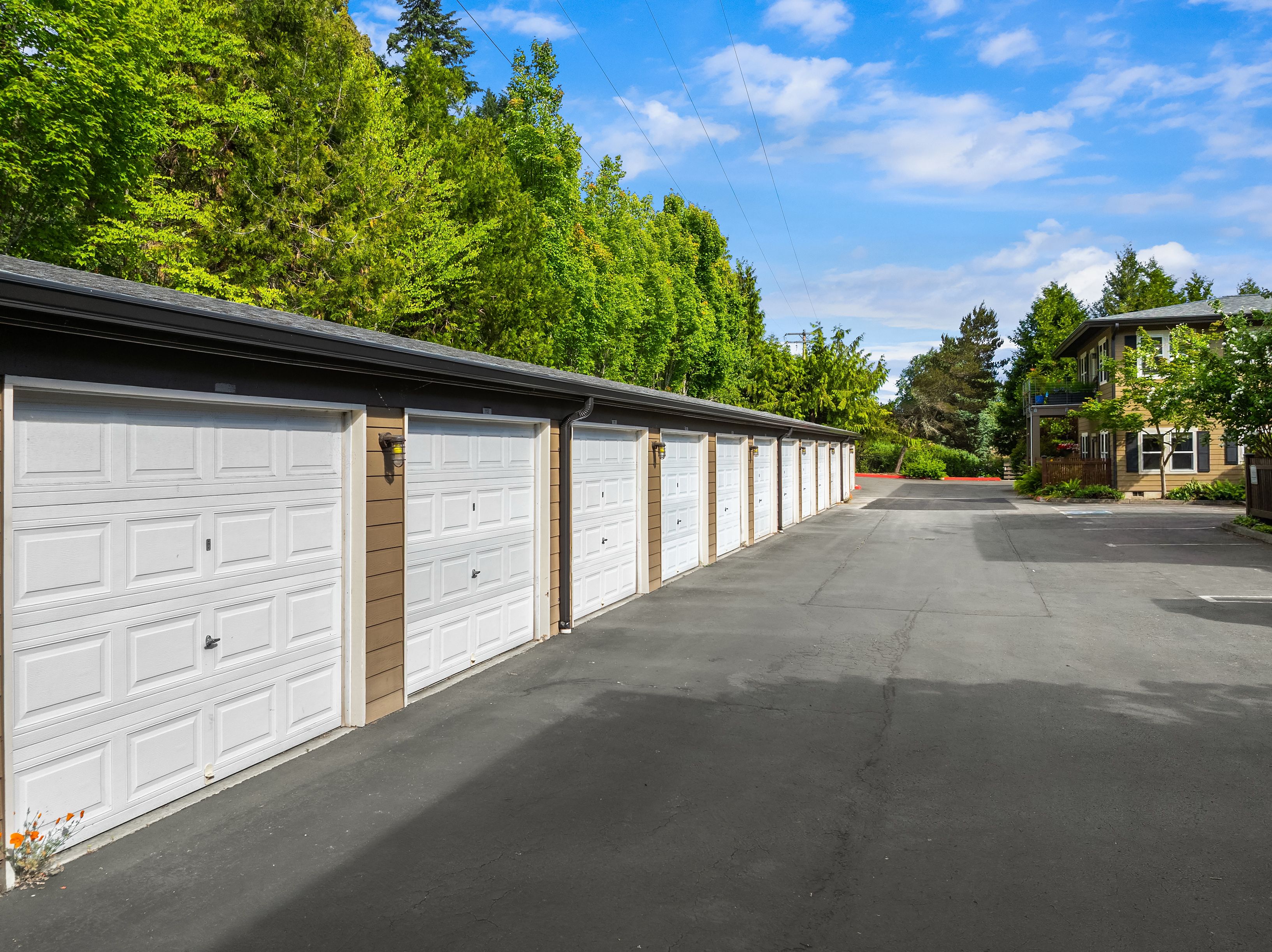  9551 NE South Beach Drive 3H, Bainbridge Island, WA 98110 - 物件實景