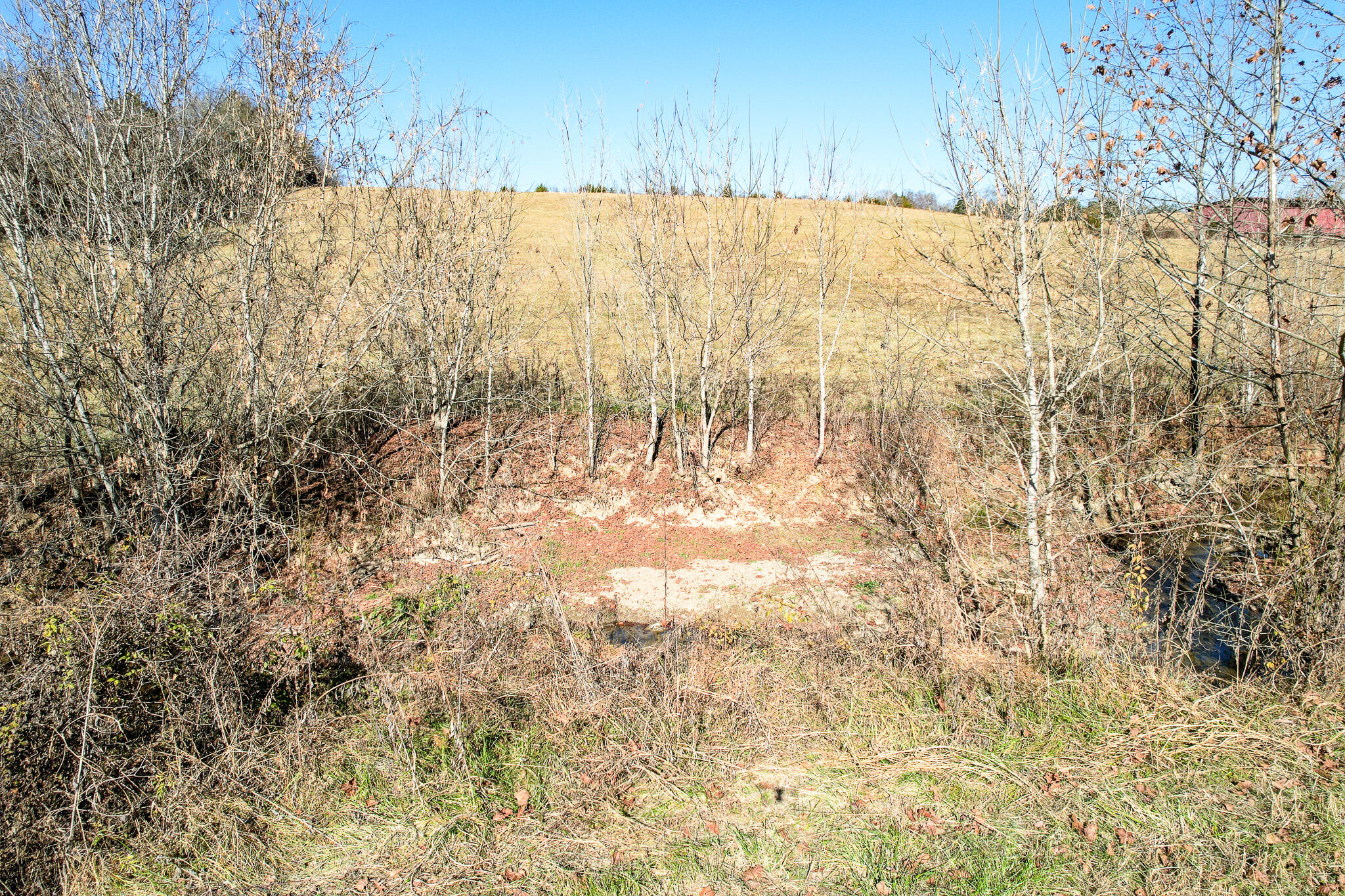 Greeneville, Tennessee, 37745, United States, ,Residential,For Sale,1920316