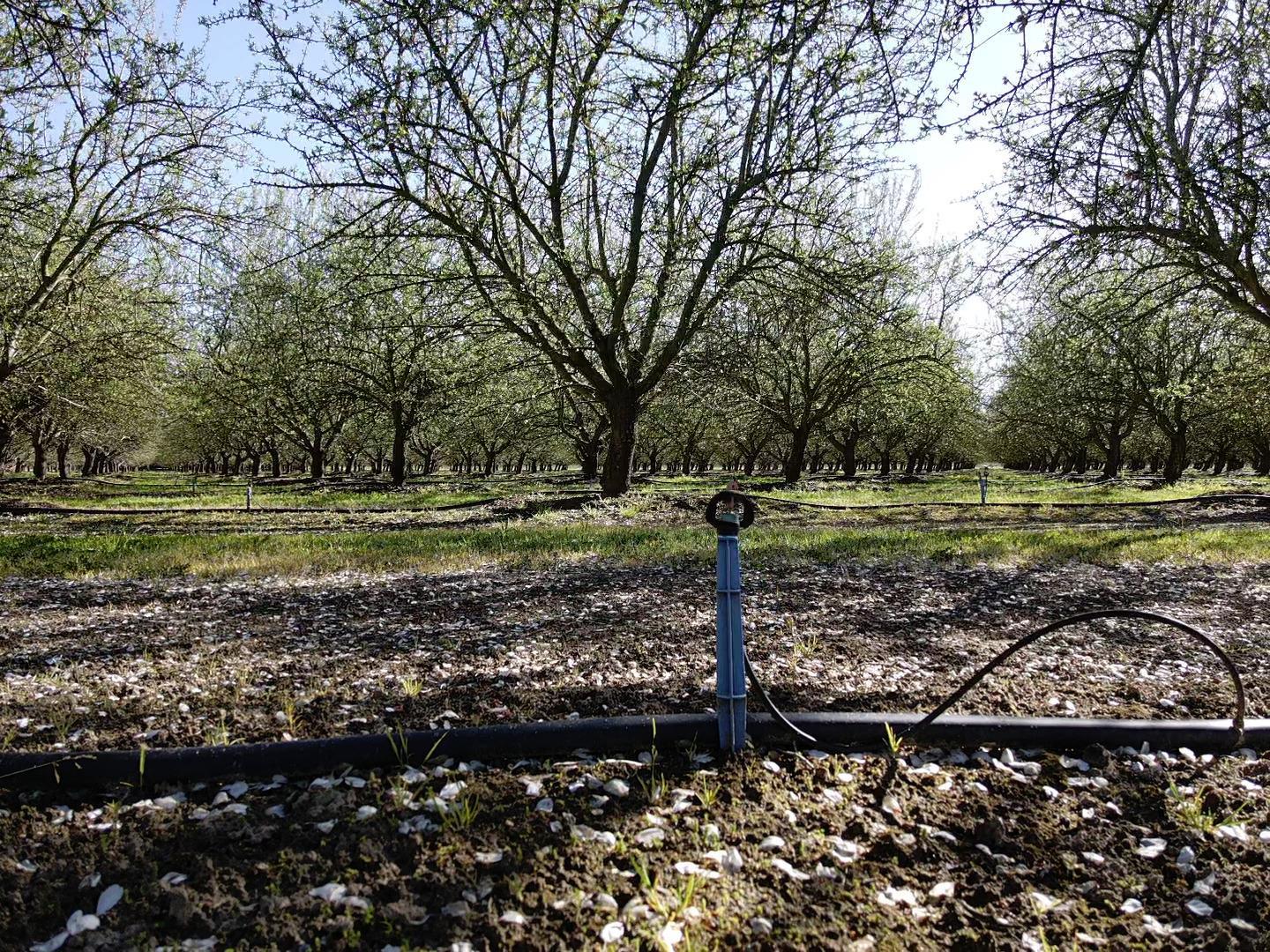 Turlock, California, 95380, United States, 3 Bedrooms Bedrooms, ,4 BathroomsBathrooms,Residential,For Sale,1993882