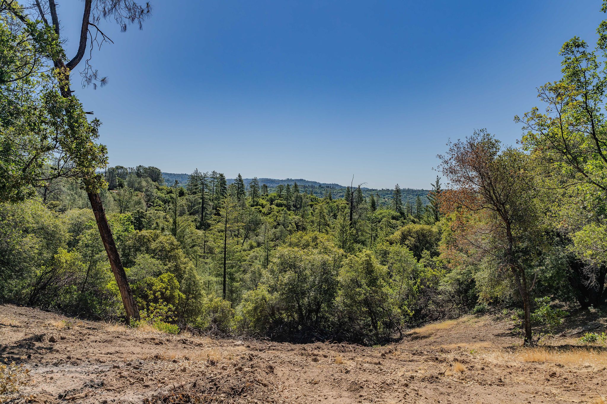  Sutter Highlands Drive, Sutter Creek, CA 95685 - 物件實景