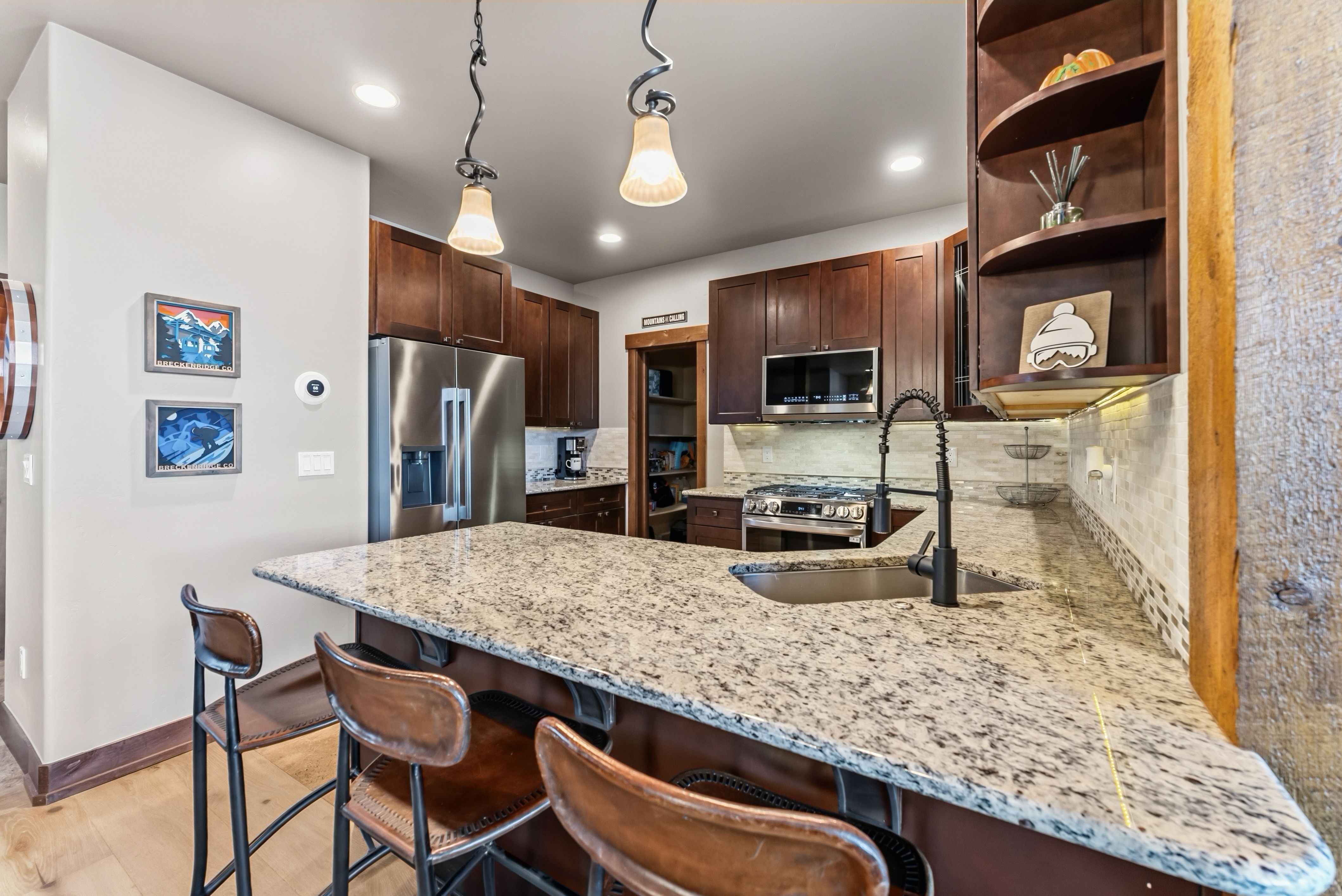  217 Fly Line Drive, Silverthorne, CO, 80498 - 物件實景