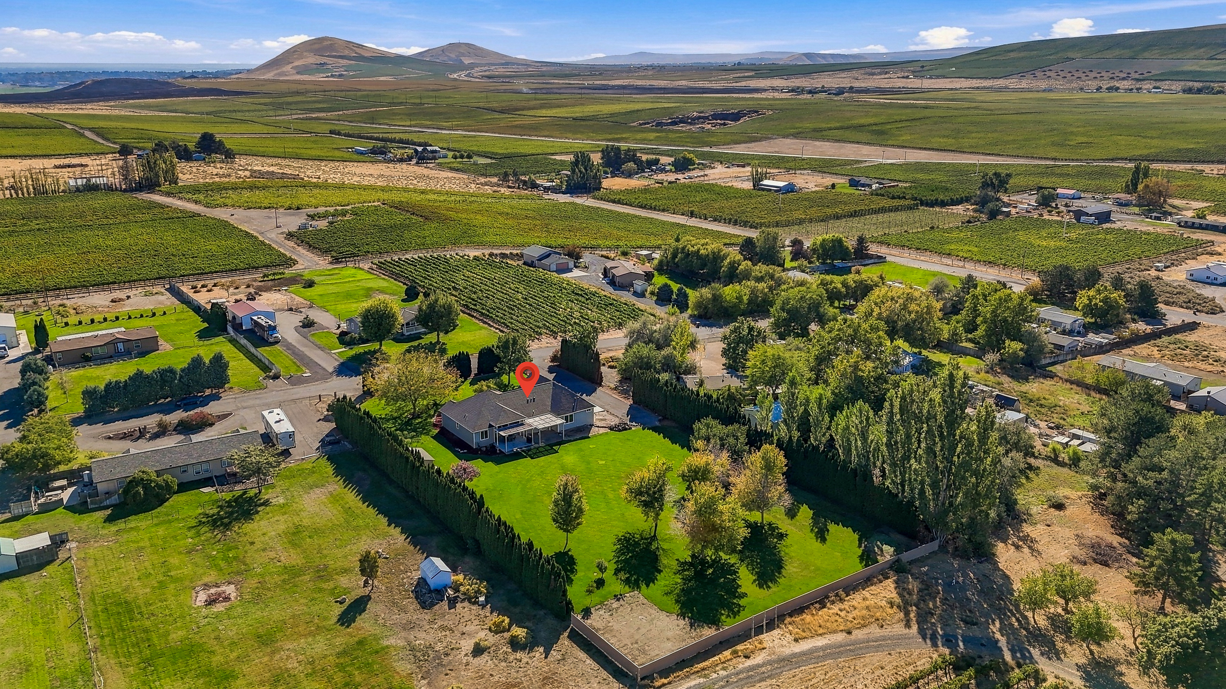  1.25 acres w vineyard views/mountain custom home - 物件實景