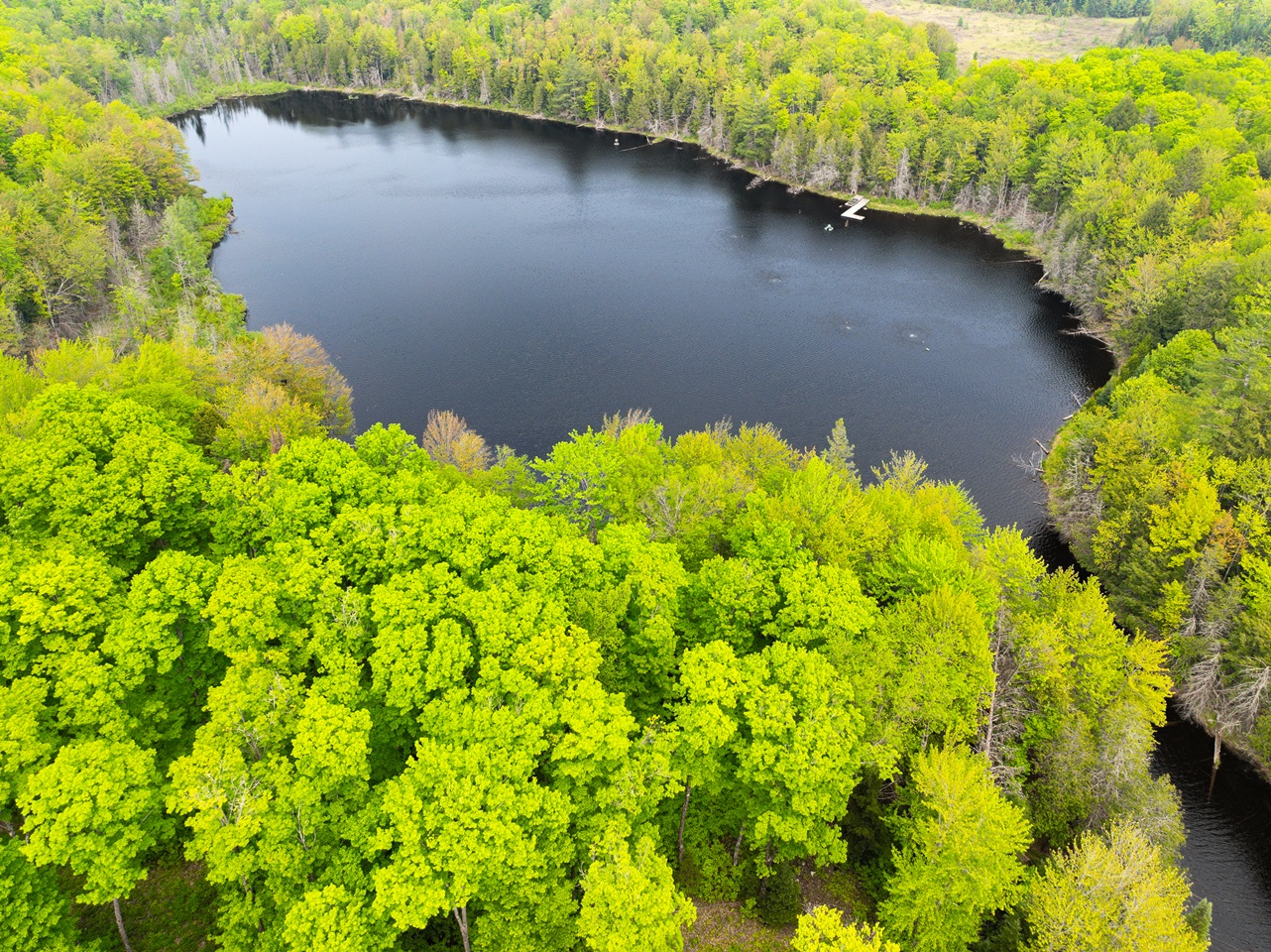 Oma, Wisconsin, 54534, United States, ,Residential,For Sale,1920346