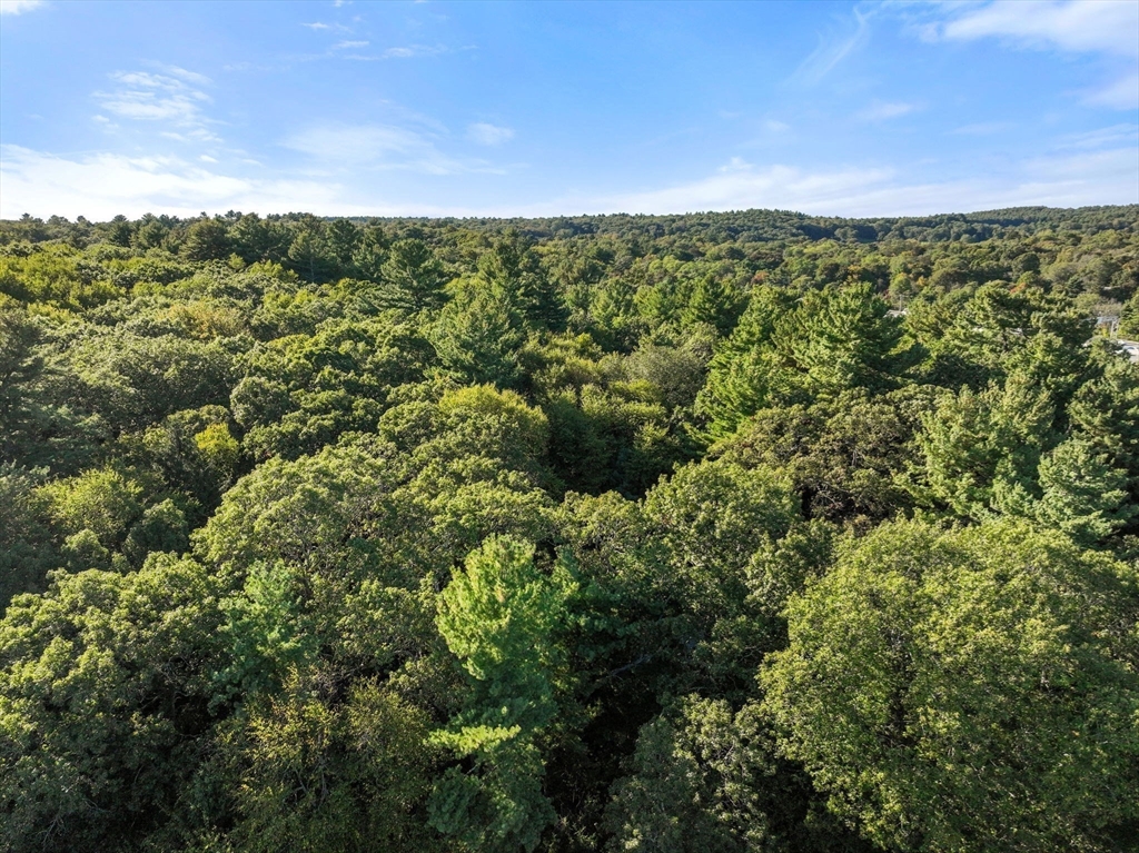 Weston, Massachusetts, 02493, United States, 4 Bedrooms Bedrooms, ,3 BathroomsBathrooms,Residential,For Sale,1989390