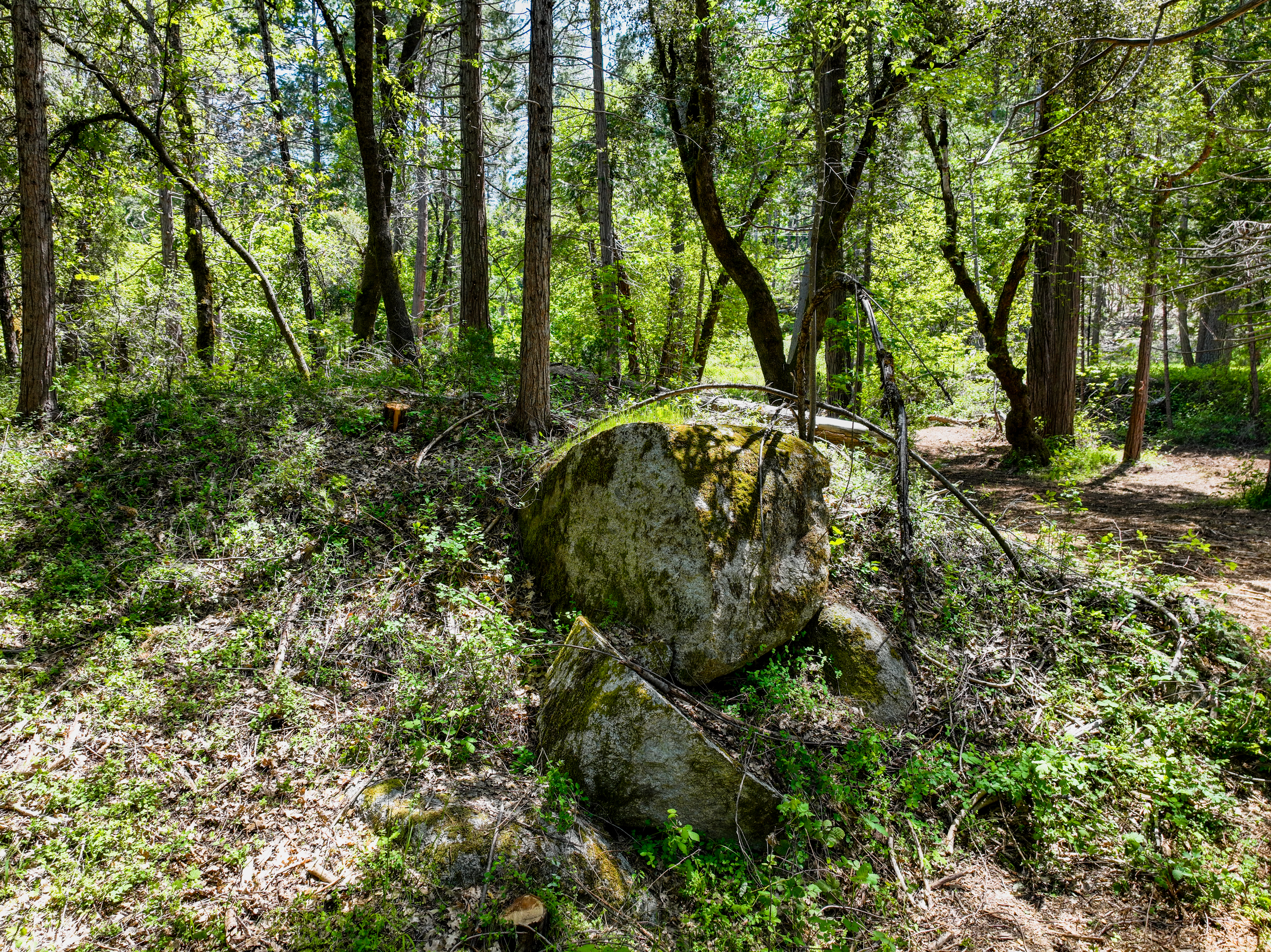  20493 Rector Road, Nevada City, CA 95959 - 物件實景