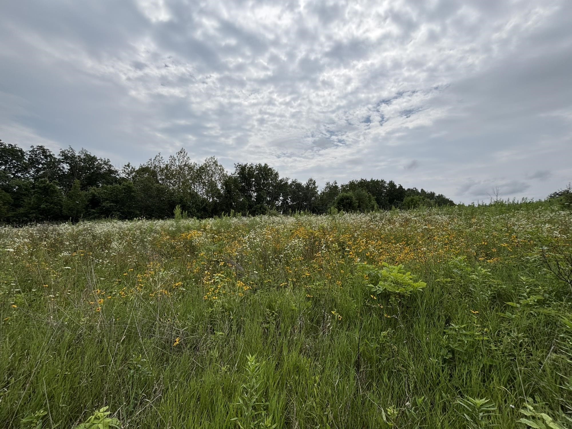 Gays Mills, Wisconsin, 54631, United States, ,Residential,For Sale,1928729