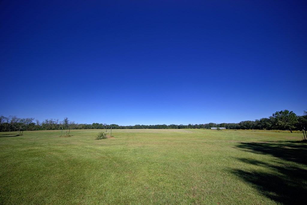 Pavo, Georgia, 31778, United States, ,Residential,For Sale,1988640