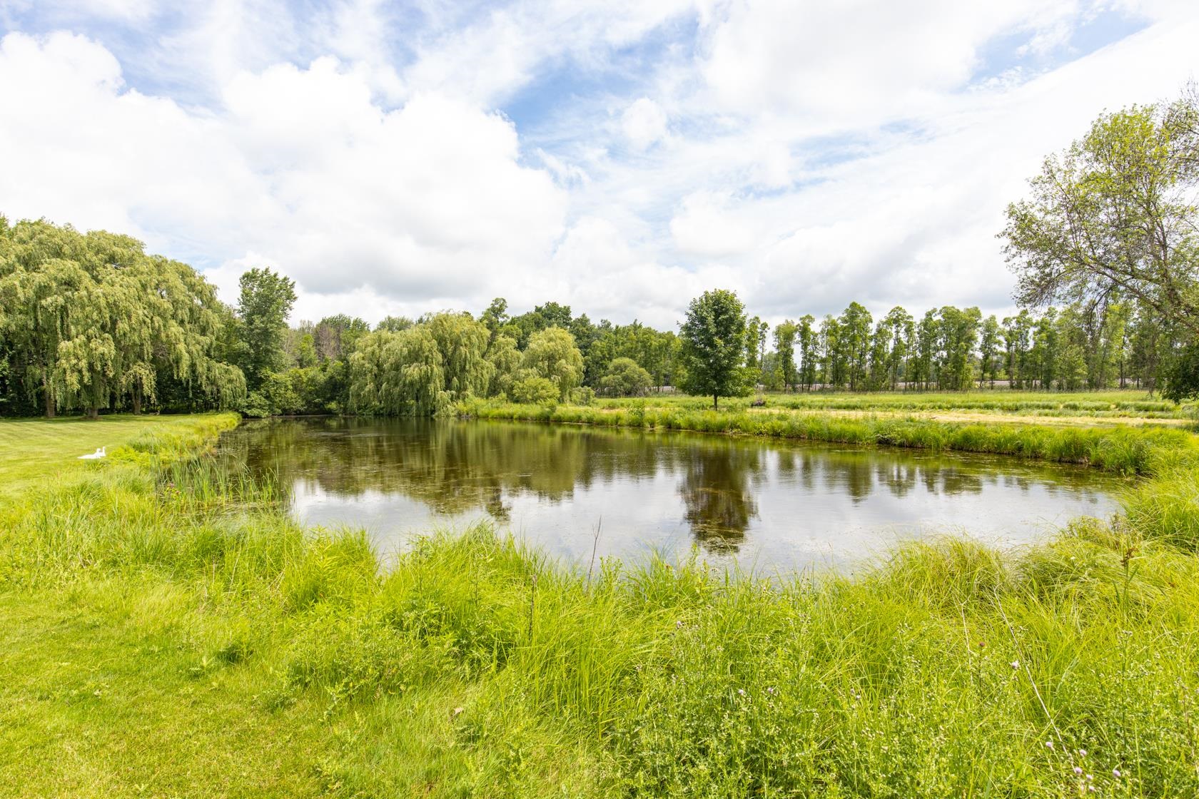 Hortonville, Wisconsin, 54944, United States, 4 Bedrooms Bedrooms, ,6 BathroomsBathrooms,Residential,For Sale,1983735