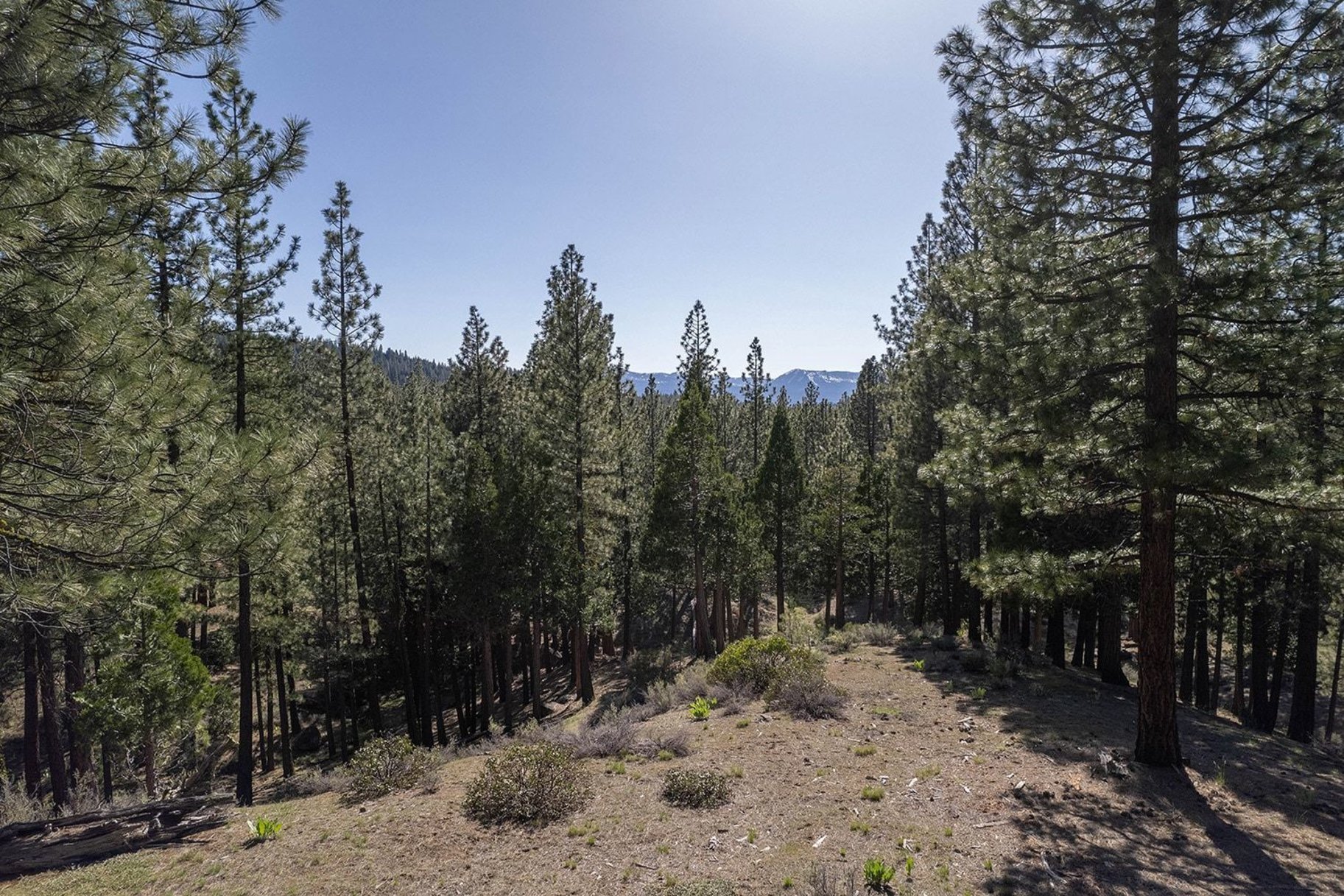  2.69 Private Acres in Nakoma with Stunning Eureka Peak Views - 物件實景