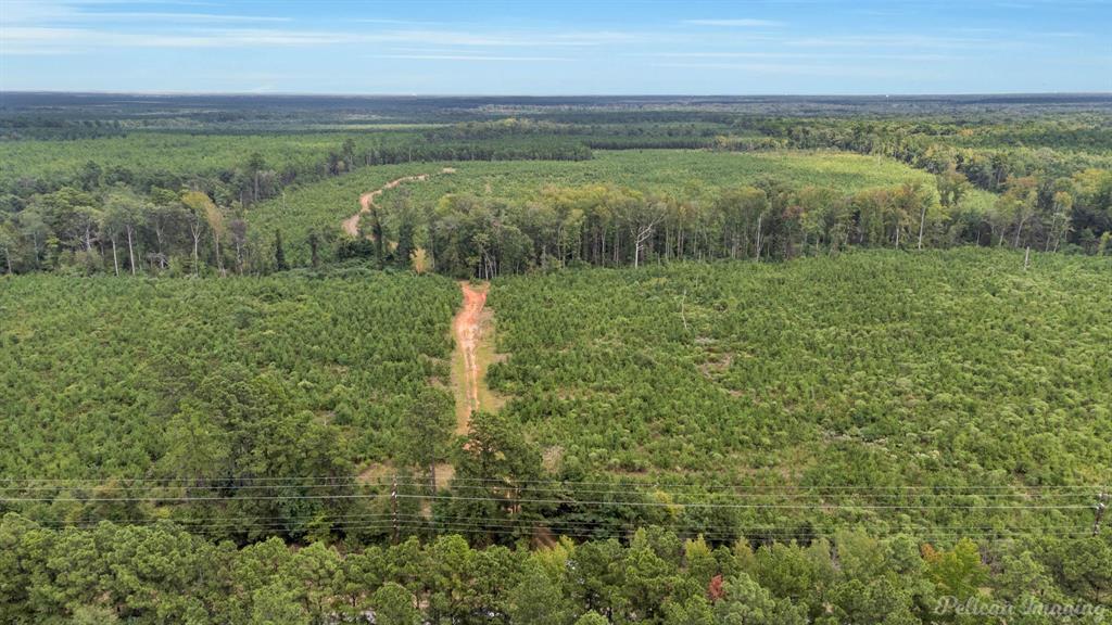 0 Highway 157 Highway, Haughton, Louisiana, 71037, United States, ,Land,For Sale,0 Highway 157 Highway,1646378