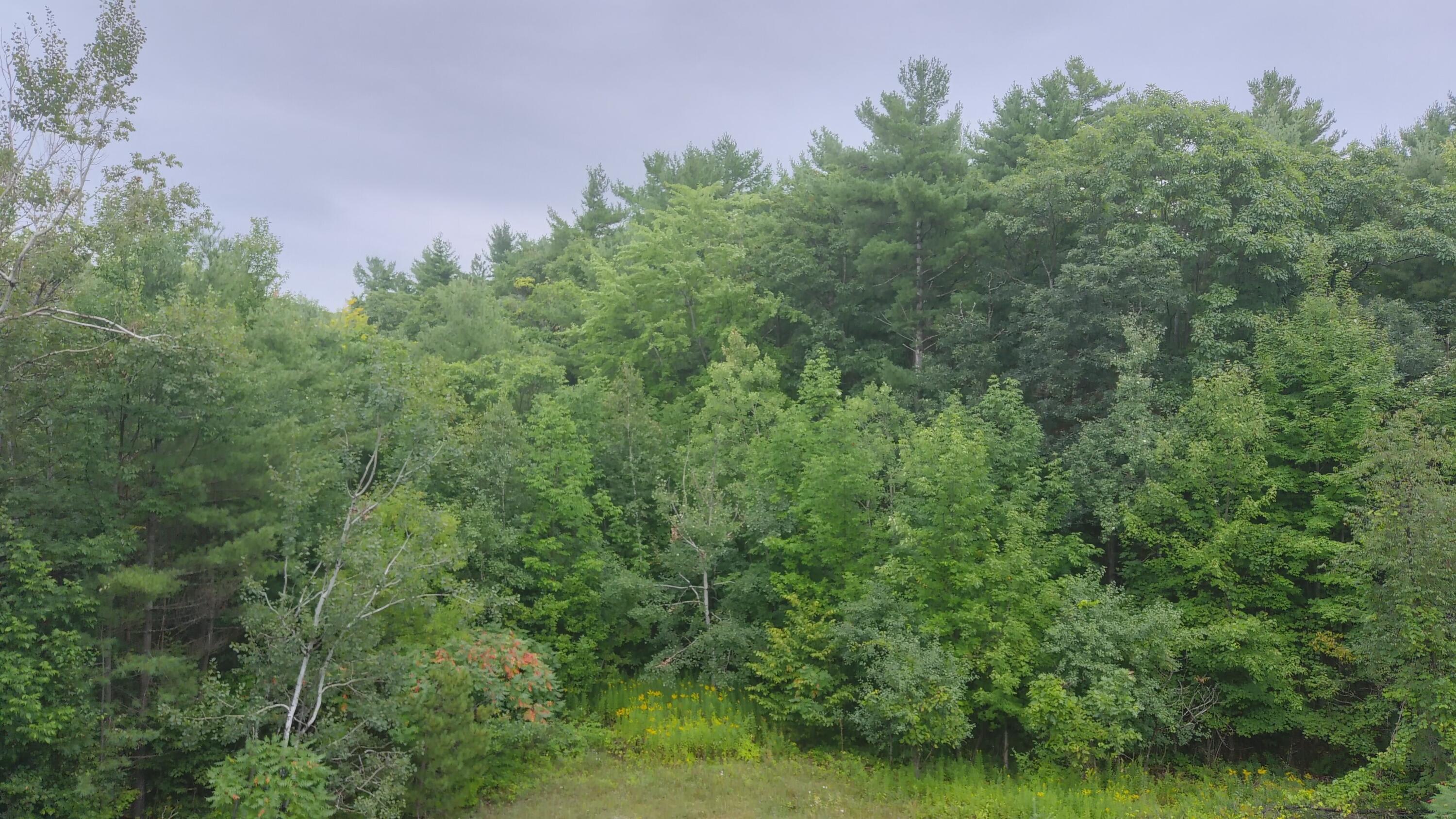 358 Buck Hill Road, Black Brook, New York, 12912, United States, ,Land,For Sale,358 Buck Hill Road,1668250