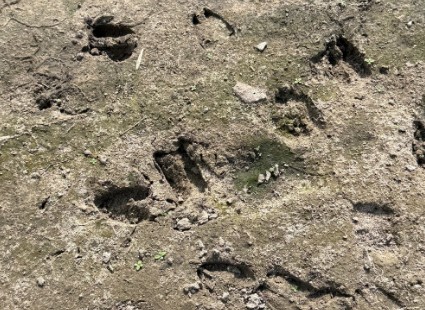 Runge, Texas, 78151, United States, 3 Bedrooms Bedrooms, ,2 BathroomsBathrooms,Residential,For Sale,1996621