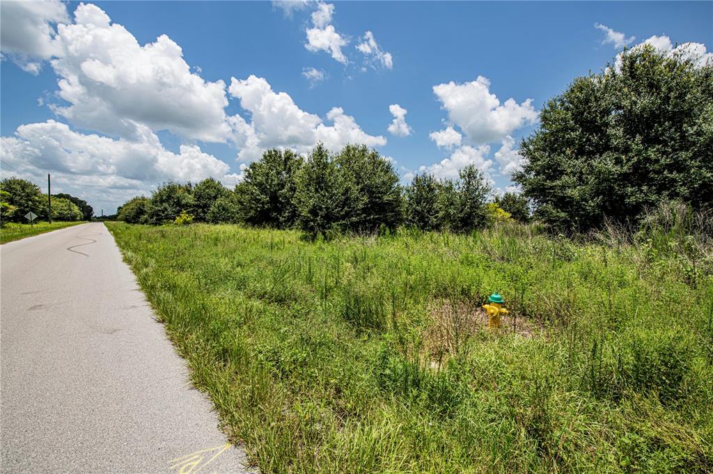 Arcadia, Florida, 34269, United States, ,Land,For Sale,1997252