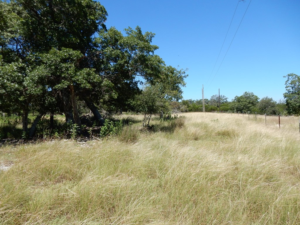 Fredericksburg, Texas, 78624, United States, 2 Bedrooms Bedrooms, ,1 BathroomBathrooms,Residential,For Sale,1905731