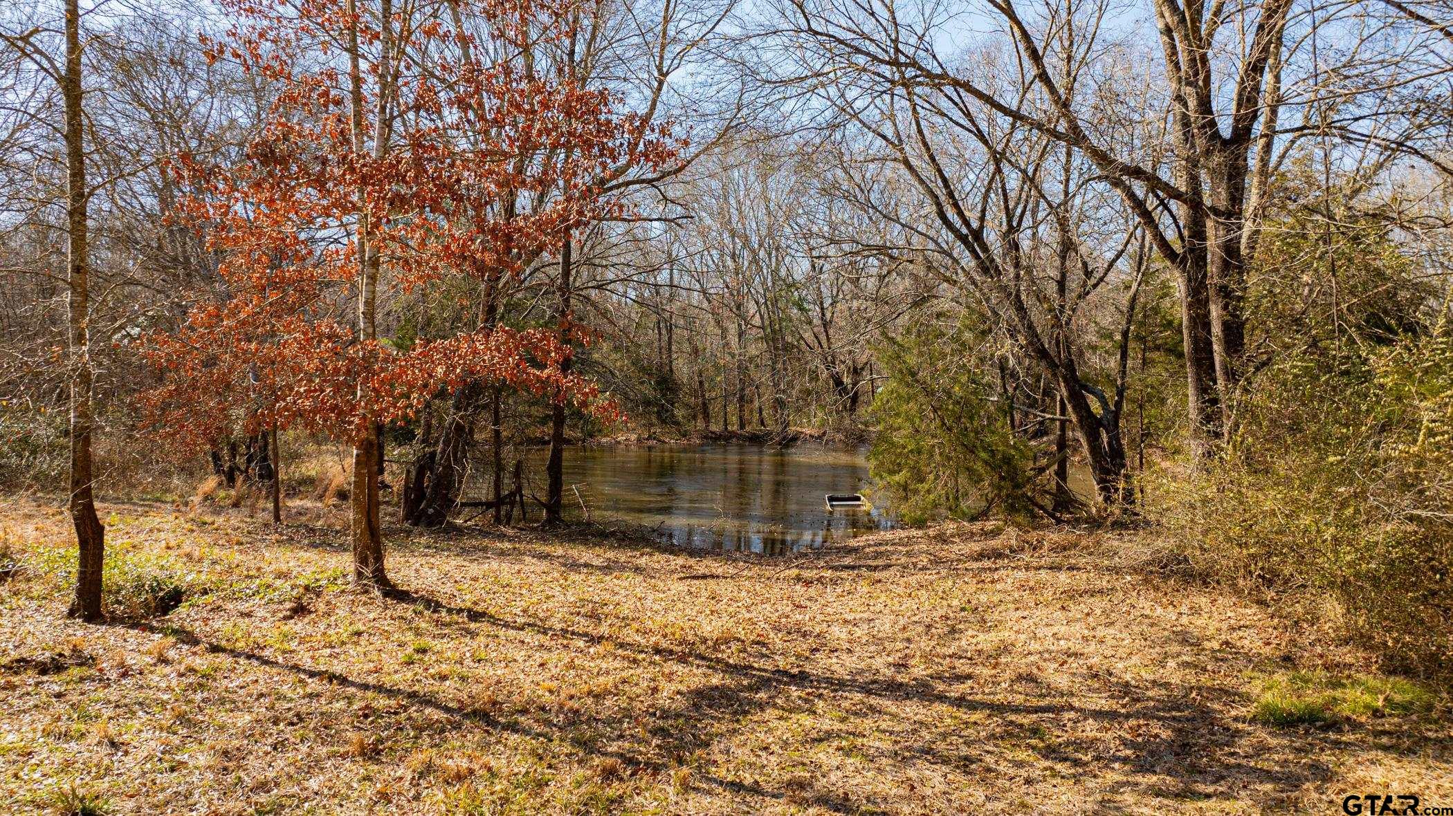 Dekalb, Texas, 75559, United States, ,Land,For Sale,1983481