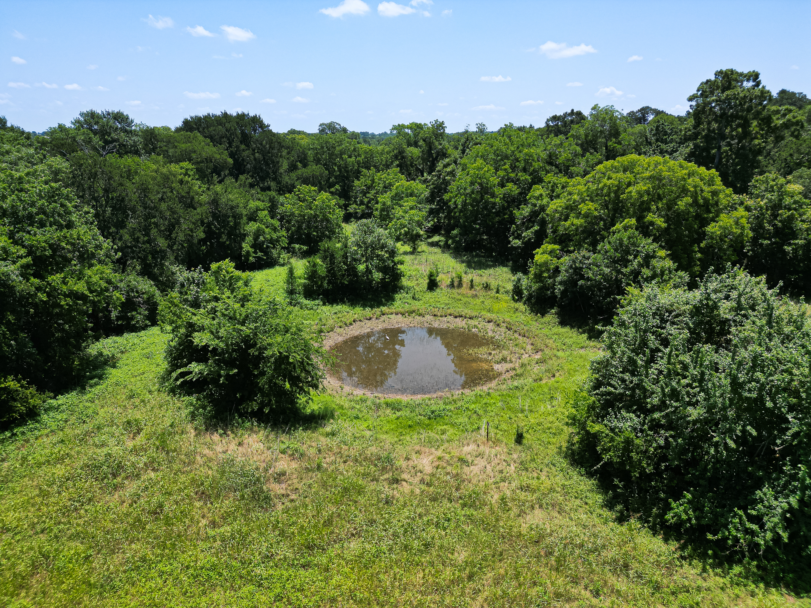 Washington, Texas, 77880, United States, ,Residential,For Sale,1943335