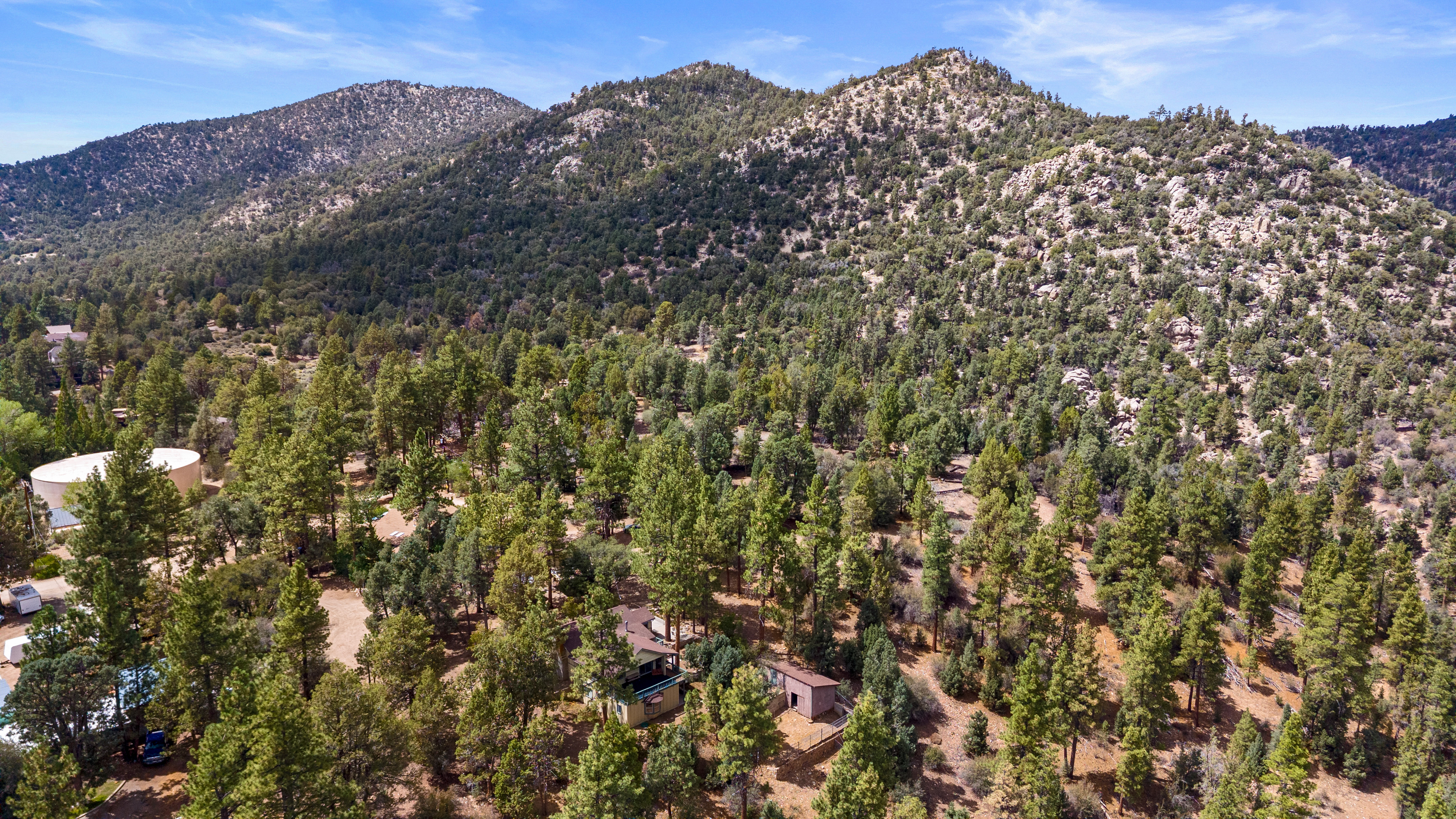  1172 Mound Street, Big Bear City, CA 92314 - 物件實景