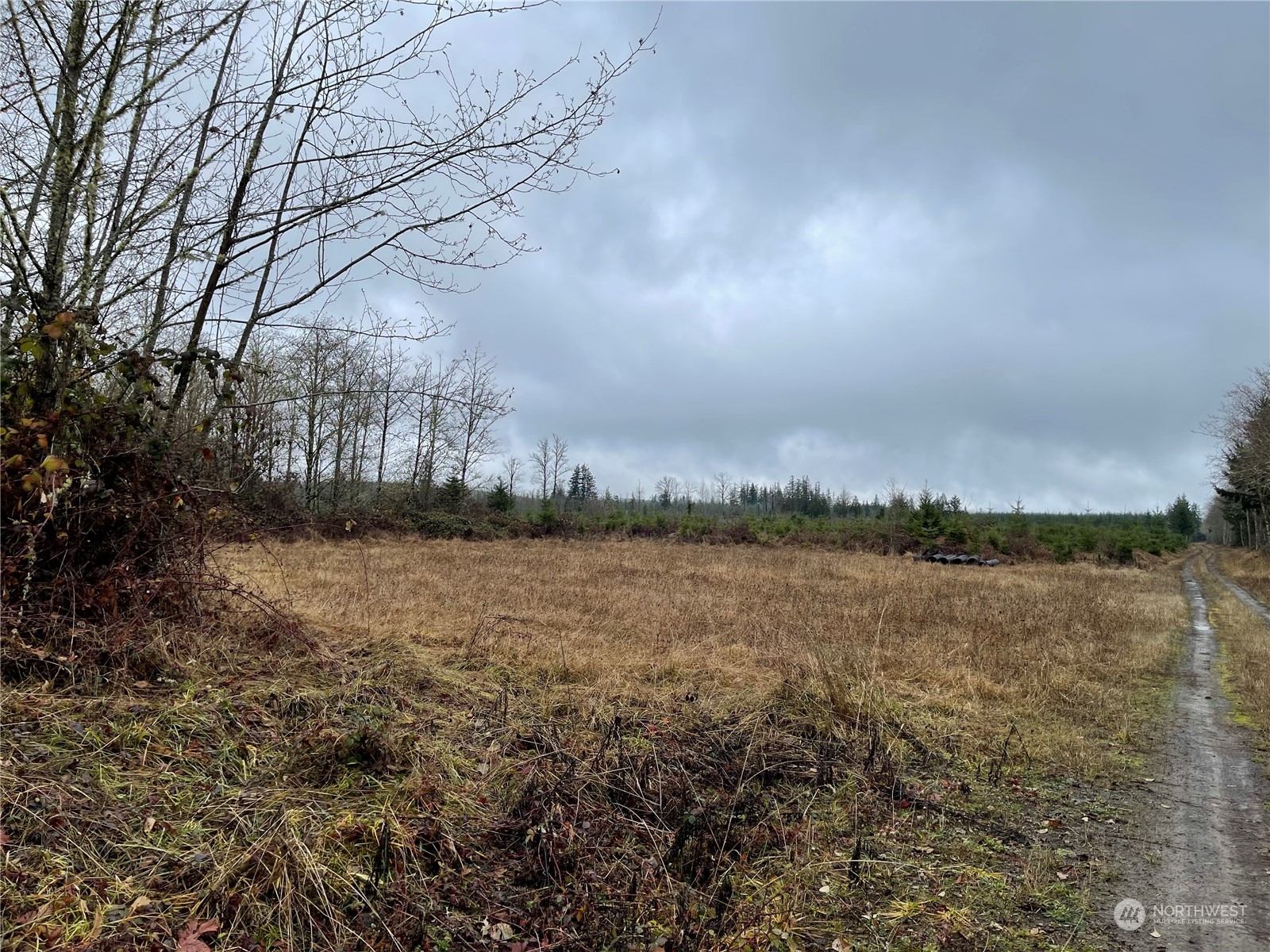 1 Xx Oppelt Road, Onalaska, Washington, 98570, United States, ,Land,For Sale,1 Xx Oppelt Road,1446946