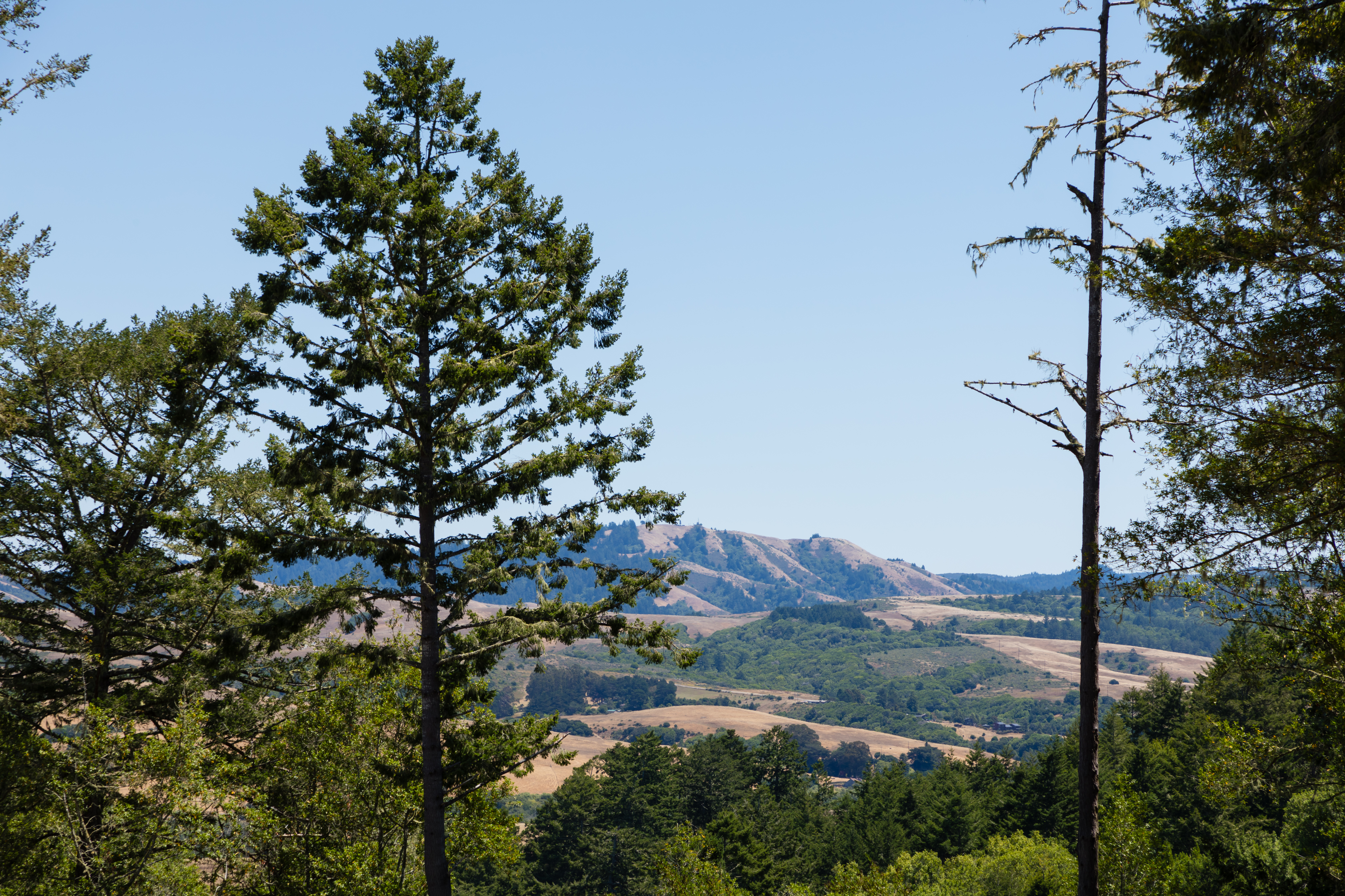  Find your Peace  in the Embrace of Nature - 物件實景
