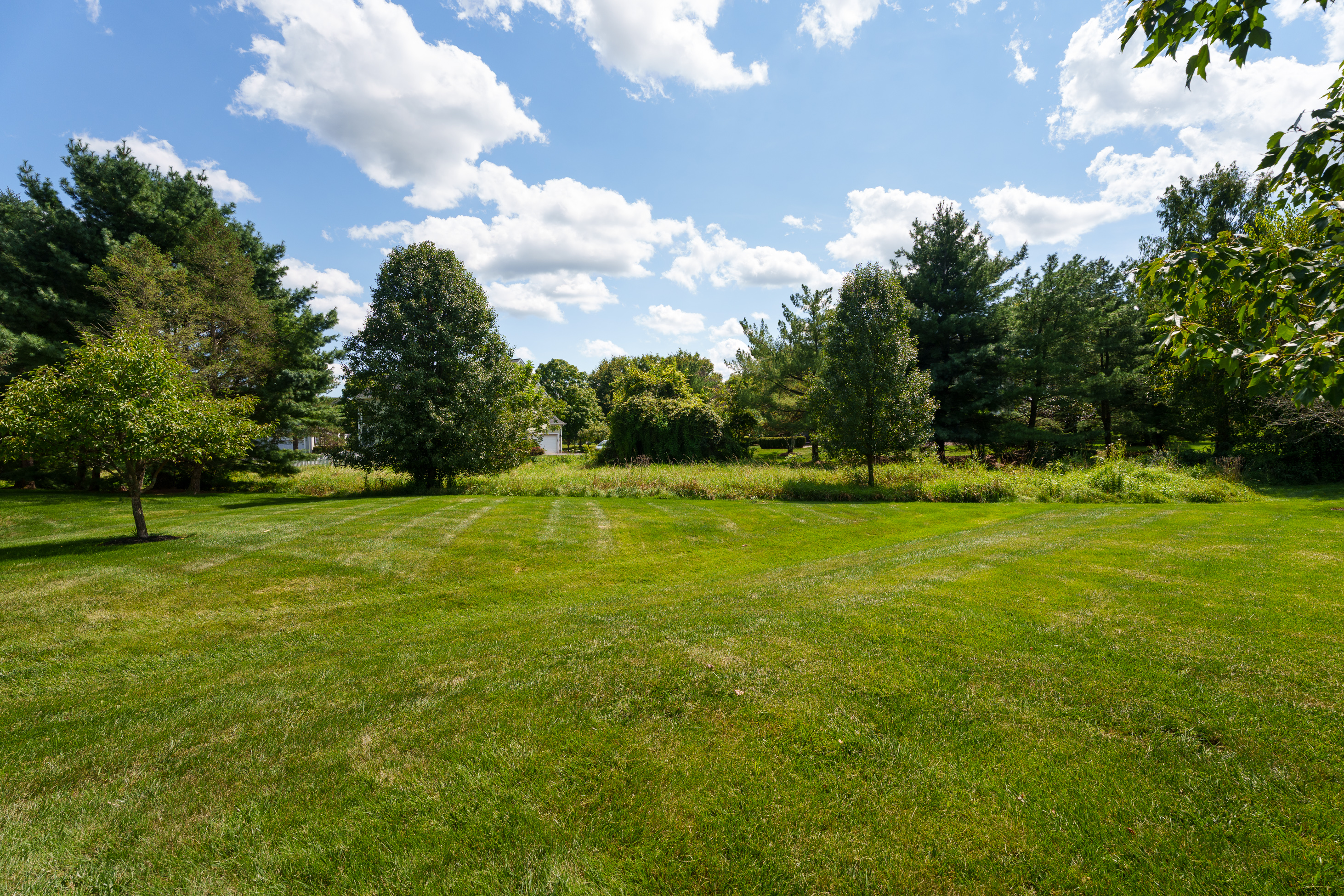  Sunlit and Spacious in Cherry Valley Country Club - 物件實景