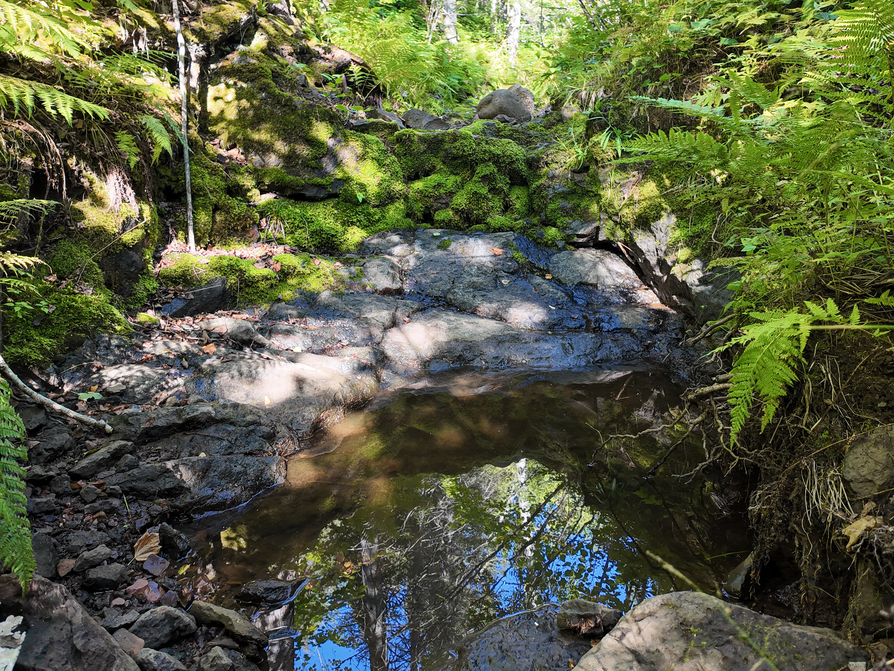  A Rare North Shore Homesite Near Grand Marais - 物件實景