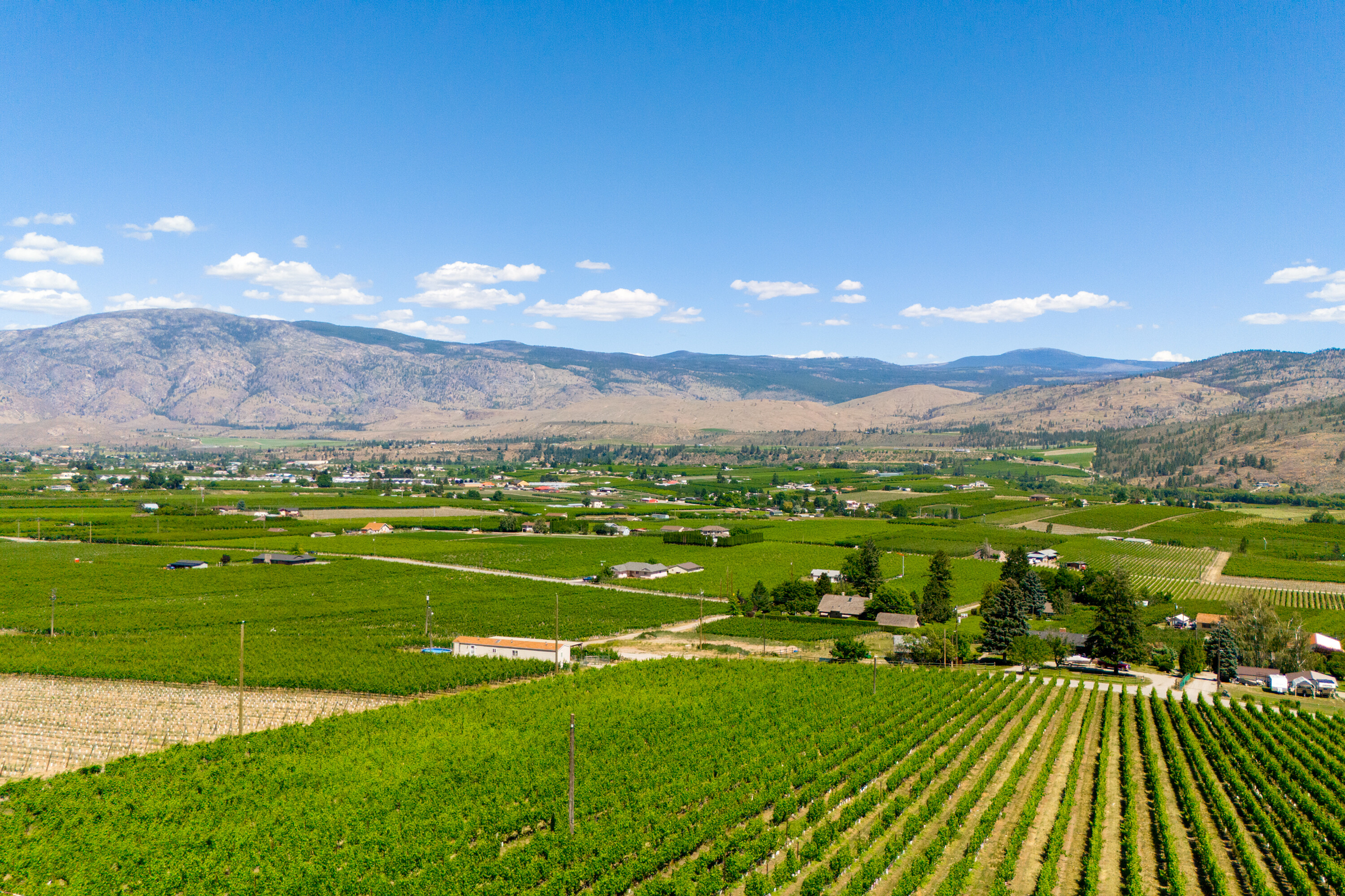  Lakefront Winery Receivership - 物件實景