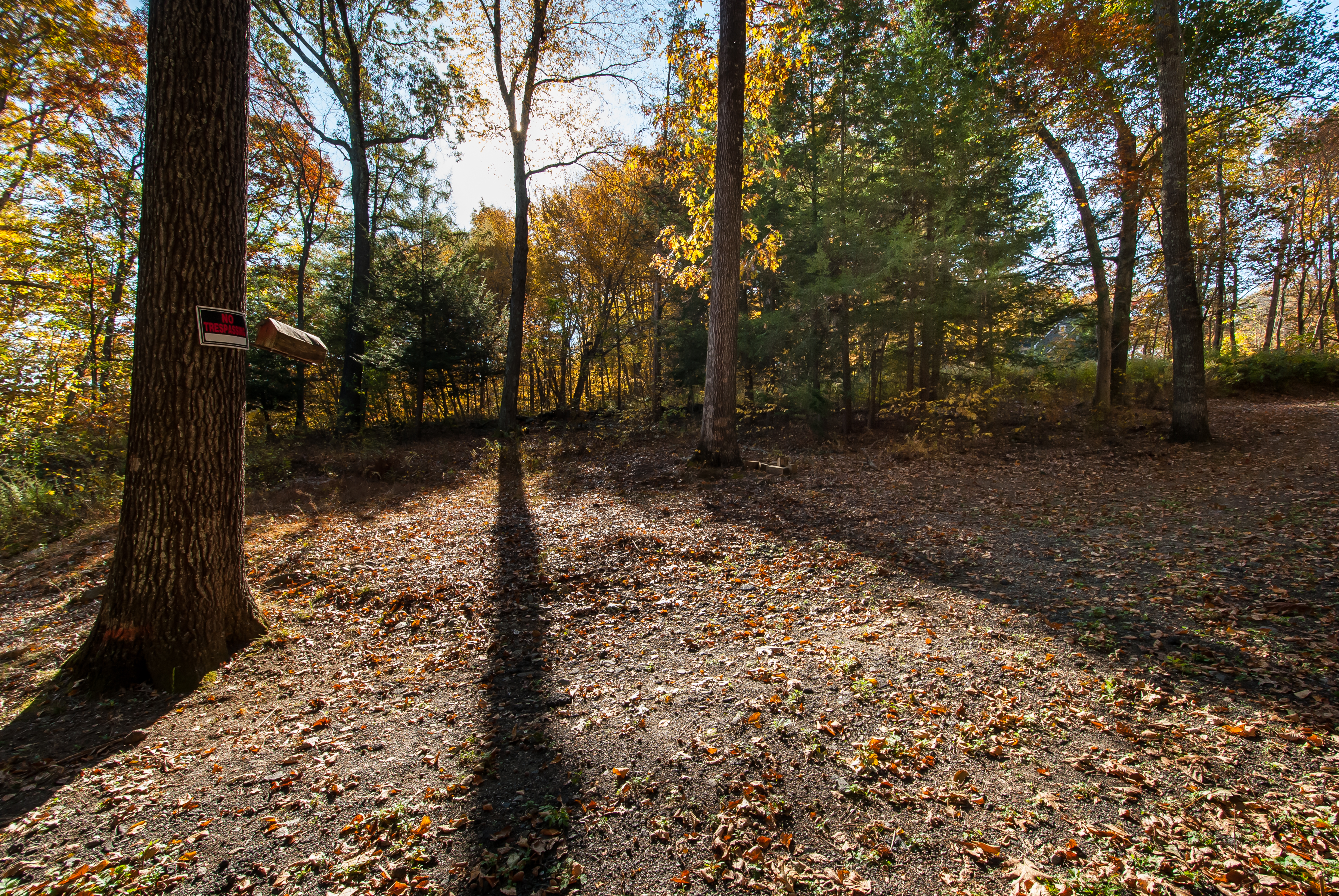  Nestled in the Hills of Southbury - 物件實景