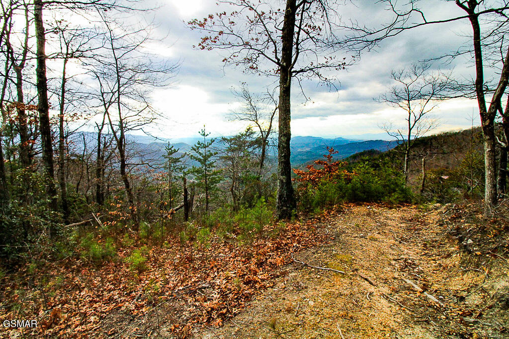 Sevierville, Tennessee, 37876, United States, ,Land,For Sale,2008093