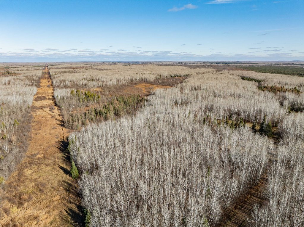 Grand Rapids, Minnesota, 55744, United States, ,Land,For Sale,1983791