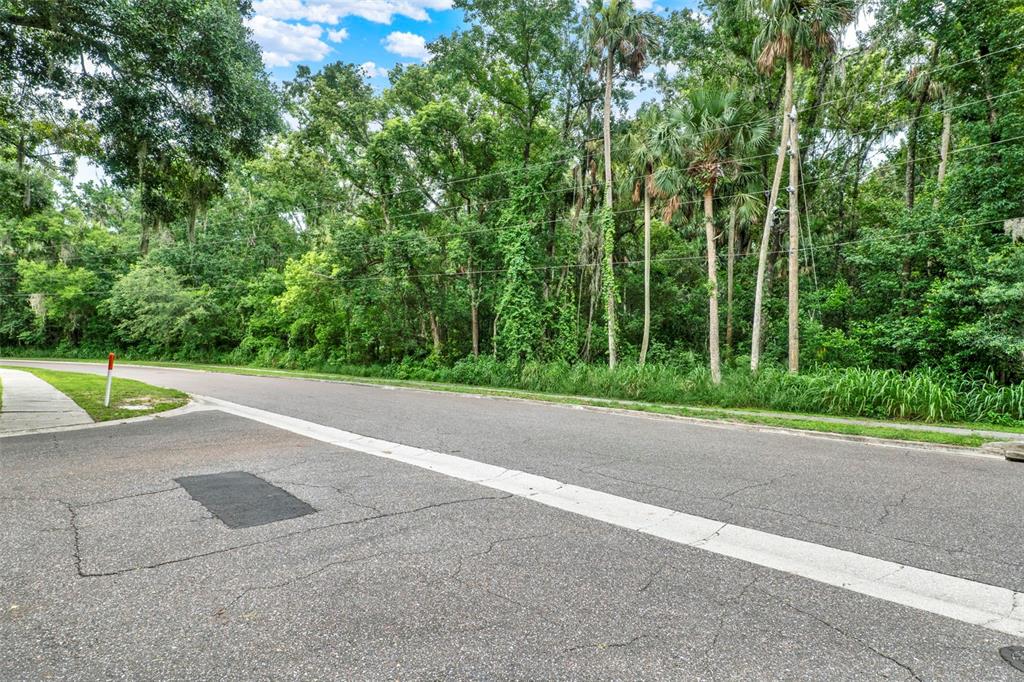 Apopka, Florida, 32712, United States, ,Land,For Sale,1891434