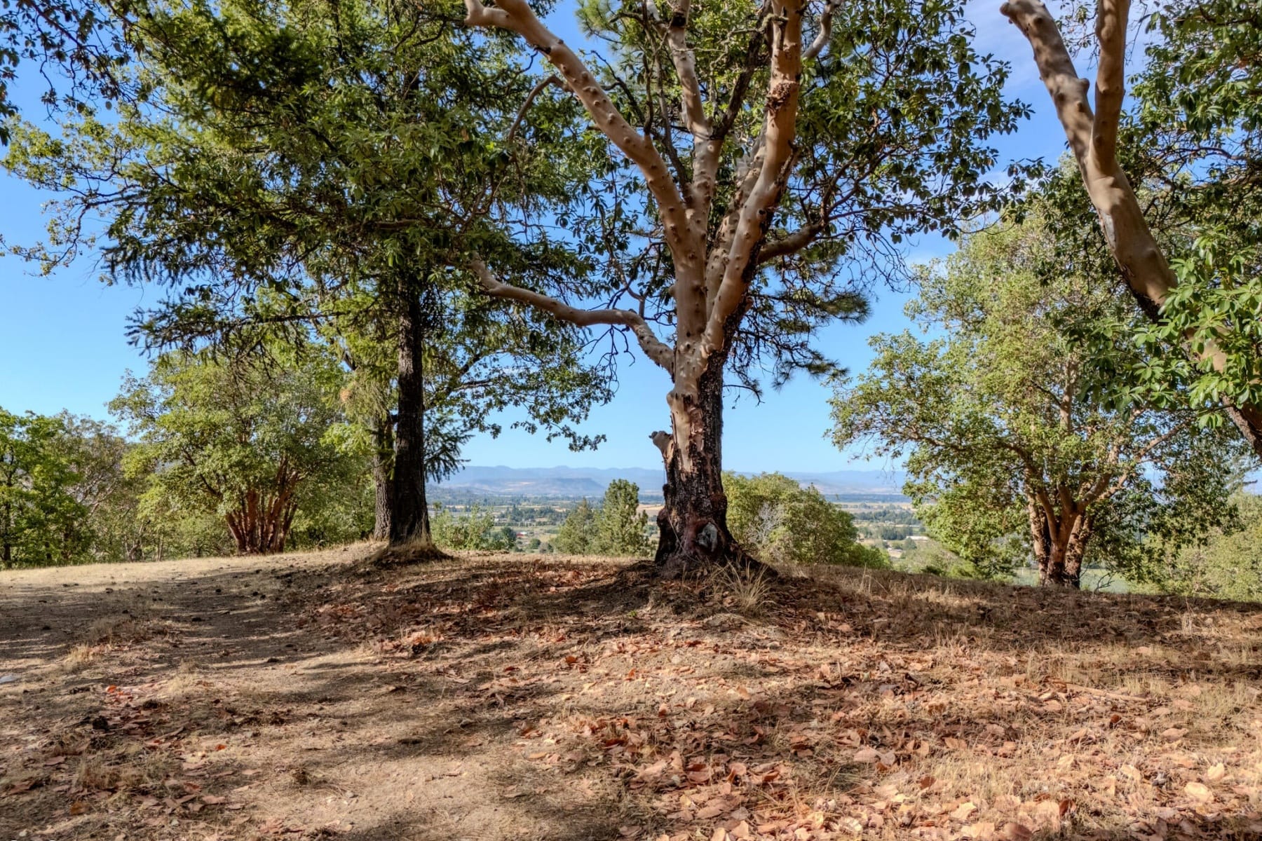  3551 S Stage Road #Lot 2 Medford, OR 97501 - 物件實景