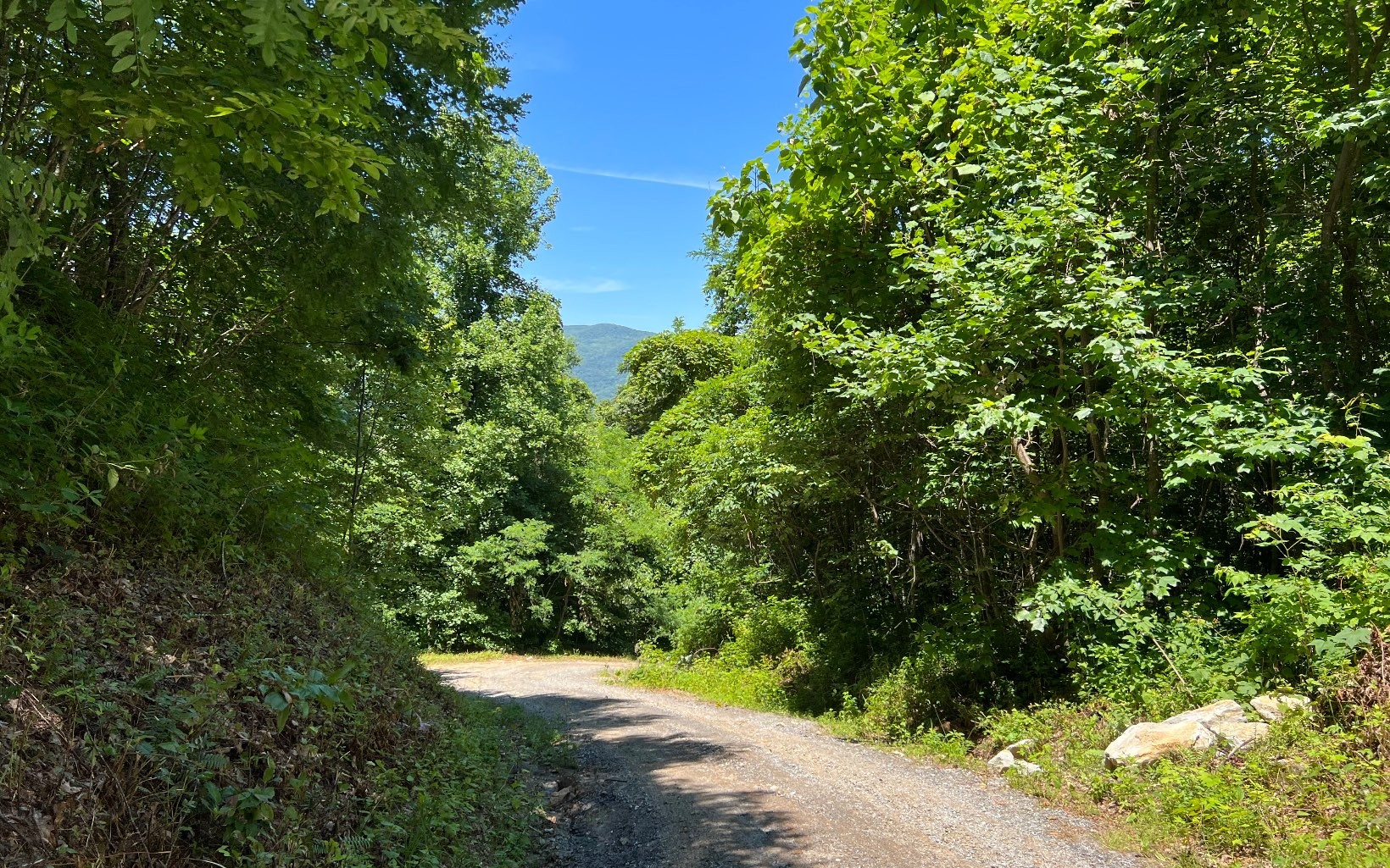 101ac Lori'S Mountain, Hayesville, North Carolina, 28904, United States, ,Residential,For Sale,101ac Lori'S Mountain,1304629