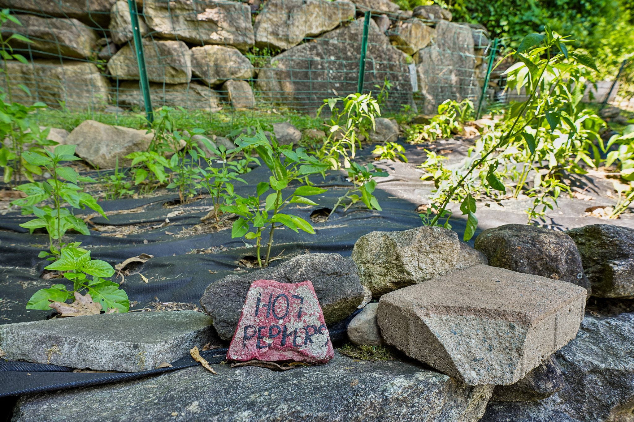  117 Green Pond Road, Rockaway, NJ 07866 - 物件實景