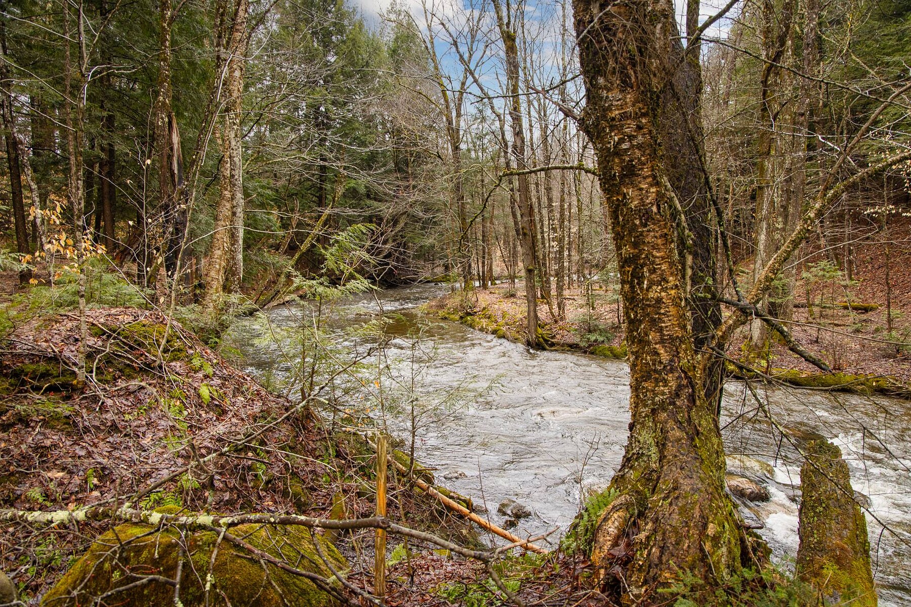  Lac-Brome, Eastern Townships - 物件實景