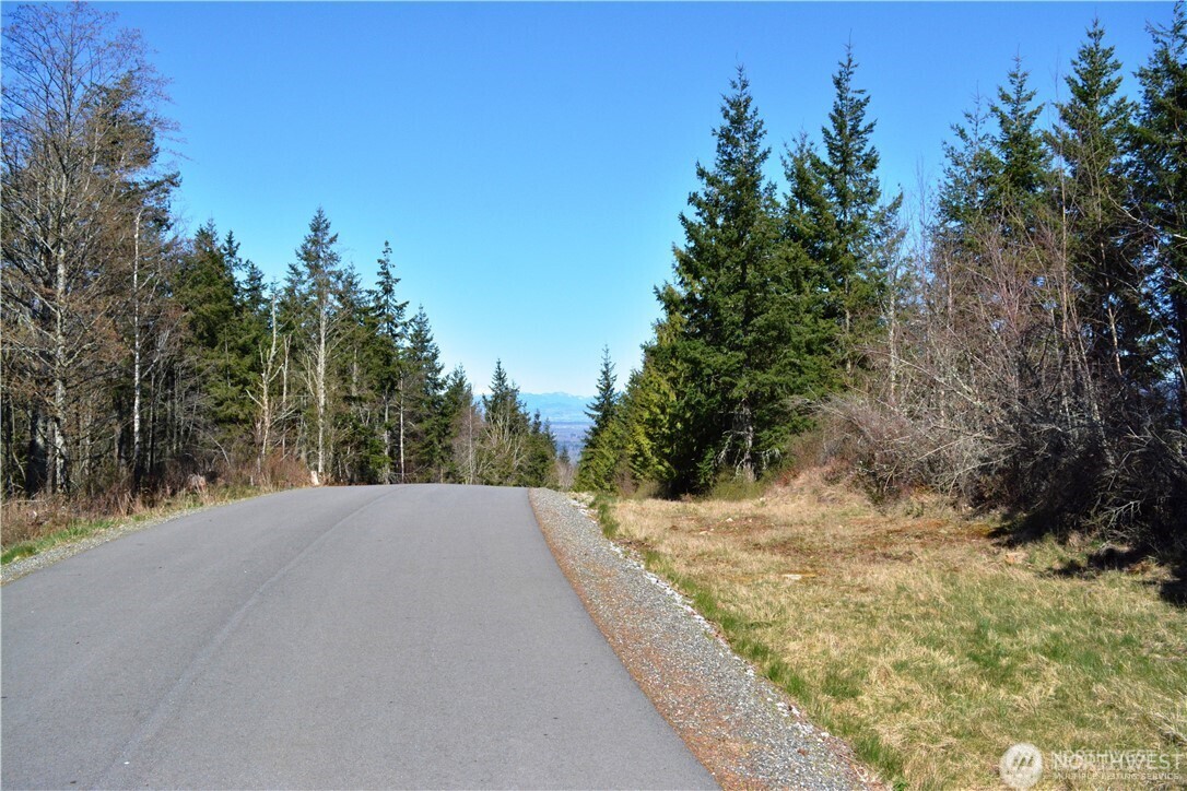 Bellingham, Washington, 98226, United States, ,Land,For Sale,1848281