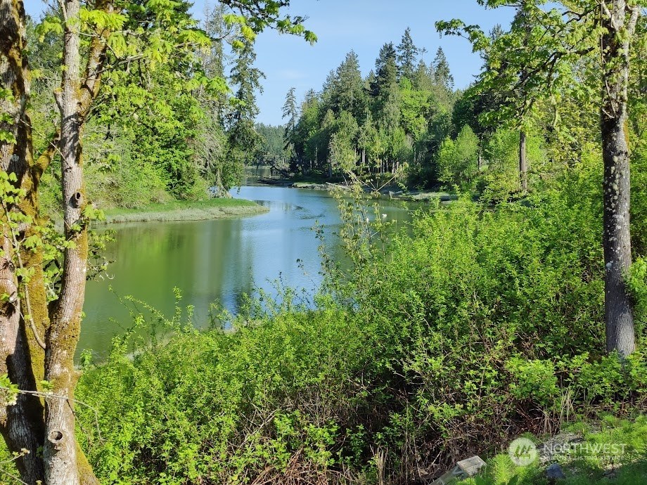 4245 Johnson Point Road NE, Olympia, Washington, 98516, United States, 2 Bedrooms Bedrooms, ,1 BathroomBathrooms,Residential,For Sale,4245 Johnson Point Road NE,1258437