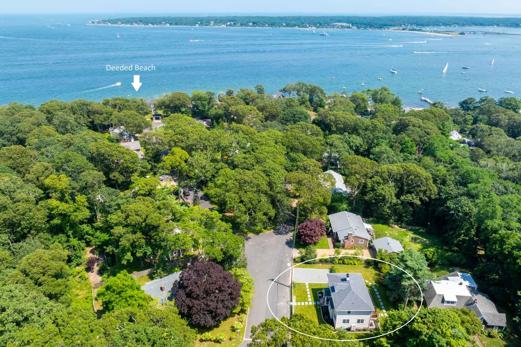  5 Pinetree Lane, Tisbury, MA, 02568 - 物件實景