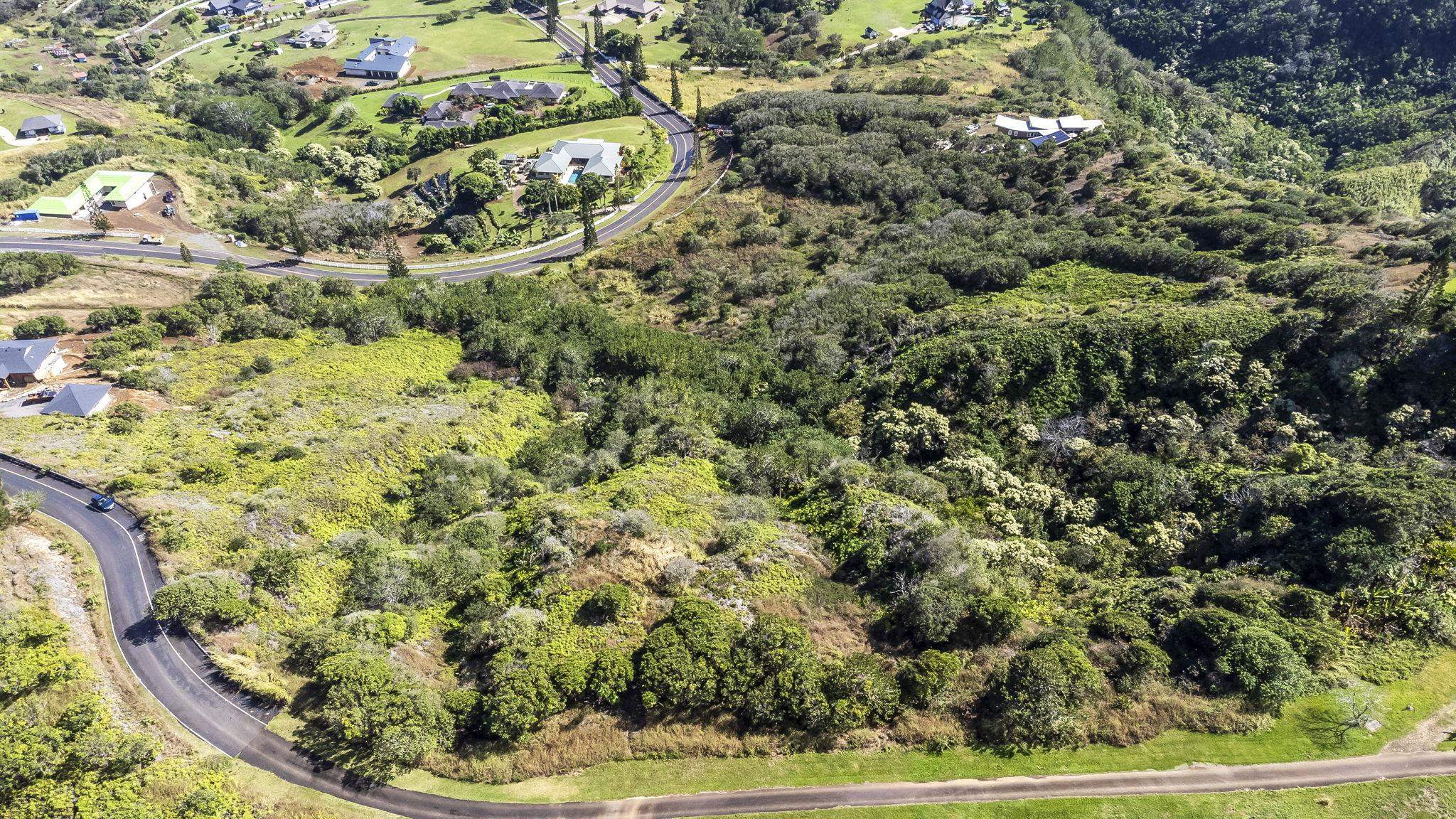63 Lahaole Pl, Wailuku, Hawaii, 96793, United States, ,Land,For Sale,63 Lahaole Pl,1676772