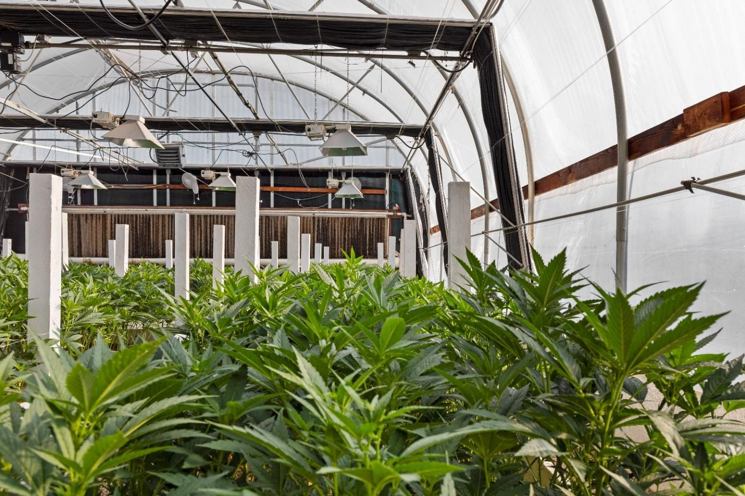 Mountain Ranch, California, 95246, United States, ,Land,For Sale,1981446