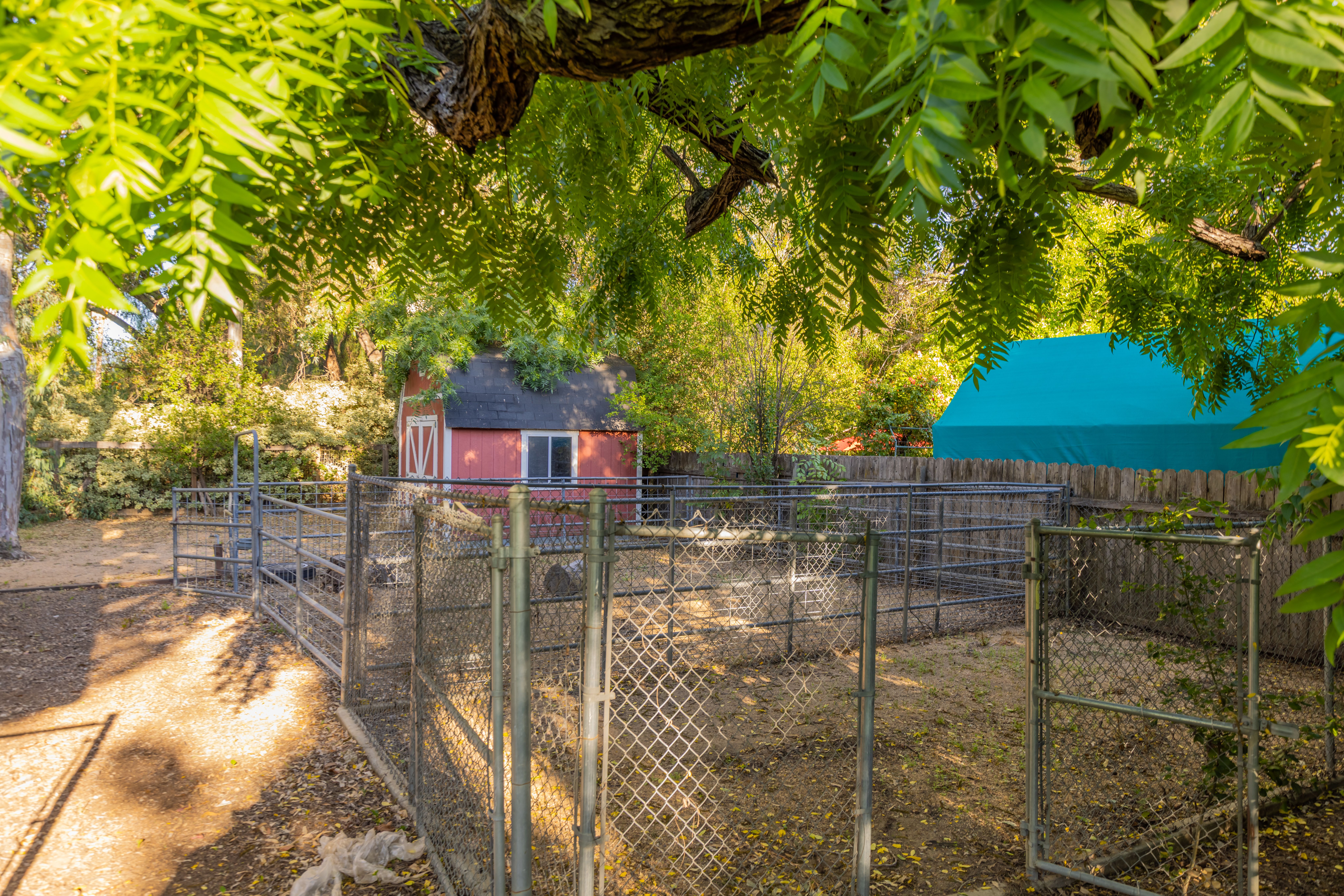  1450 Grand Avenue, Ojai, CA 93023 - 物件實景