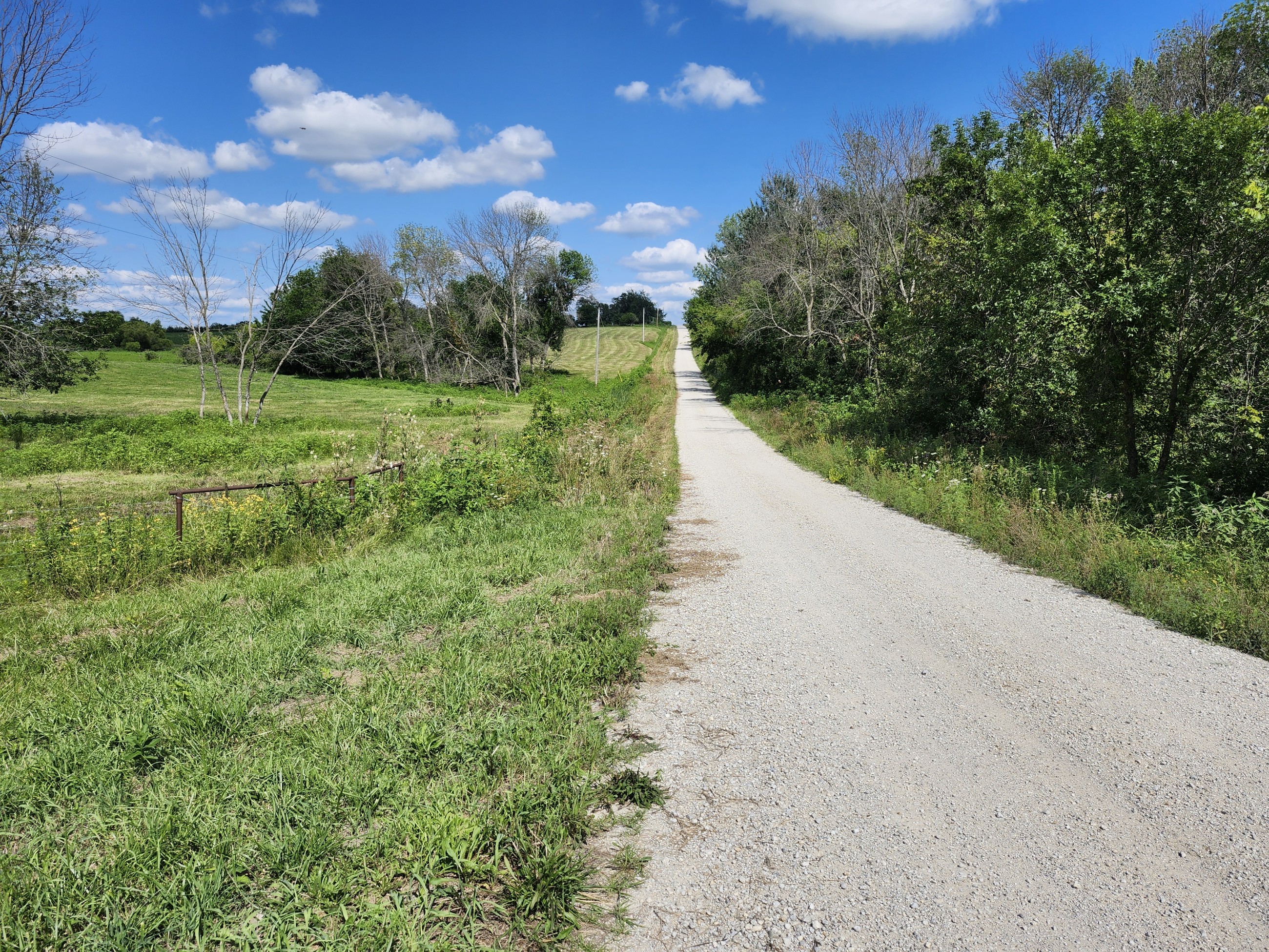 Princeton, Missouri, 64673, United States, ,Land,For Sale,2001559
