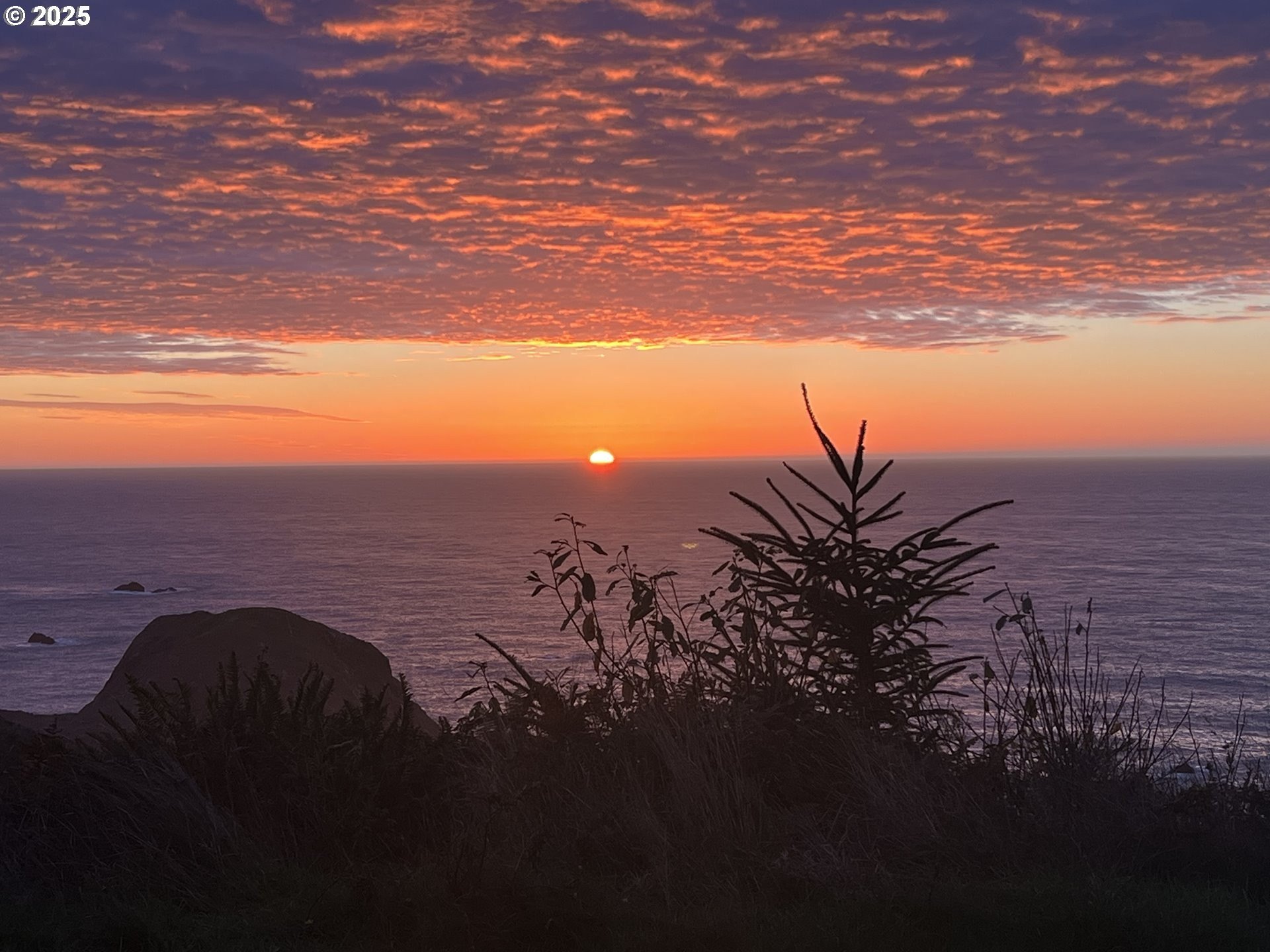 Brookings, Oregon, 97415, United States, 3 Bedrooms Bedrooms, ,2 BathroomsBathrooms,Residential,For Sale,1974260