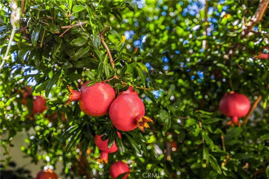 Upland, California, 91784, United States, 3 Bedrooms Bedrooms, ,3 BathroomsBathrooms,Residential,For Sale,1988637