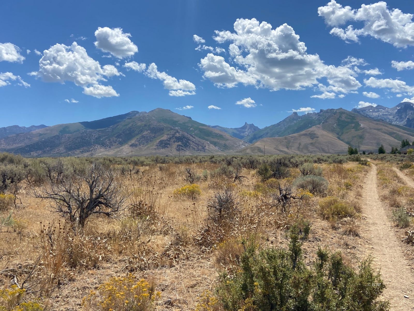 Lamoille, Nevada, 89828, United States, ,Land,For Sale,1911712