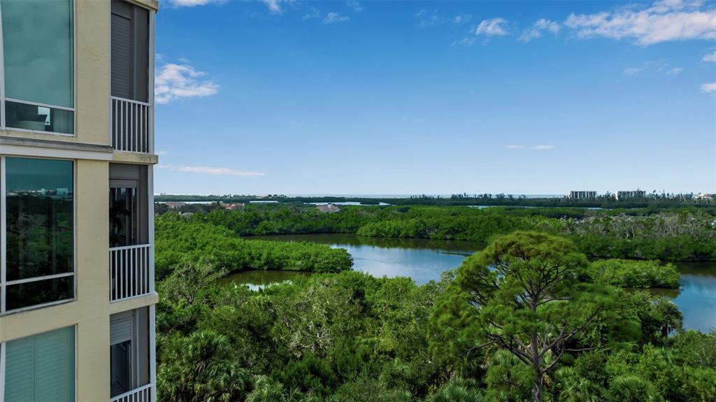 Osprey, Florida, 34229, United States, 3 Bedrooms Bedrooms, ,3 BathroomsBathrooms,Residential,For Sale,1992079