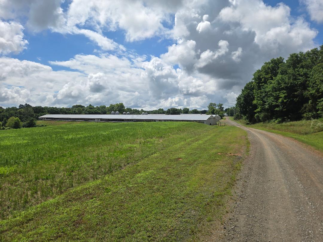 Lamar, Arkansas, 72846, United States, ,Residential,For Sale,2048201