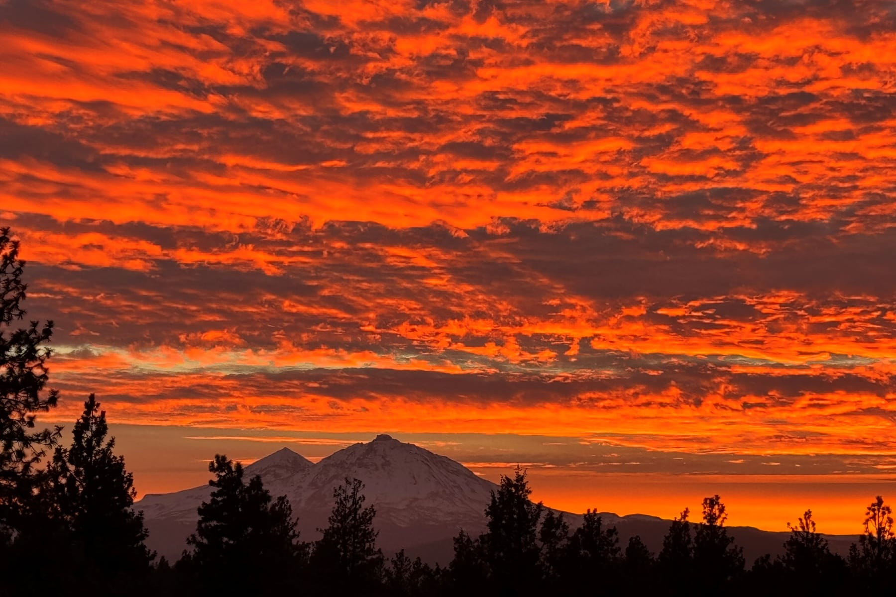  69550 Pine Ridge Drive Sisters, OR 97759 - 物件實景