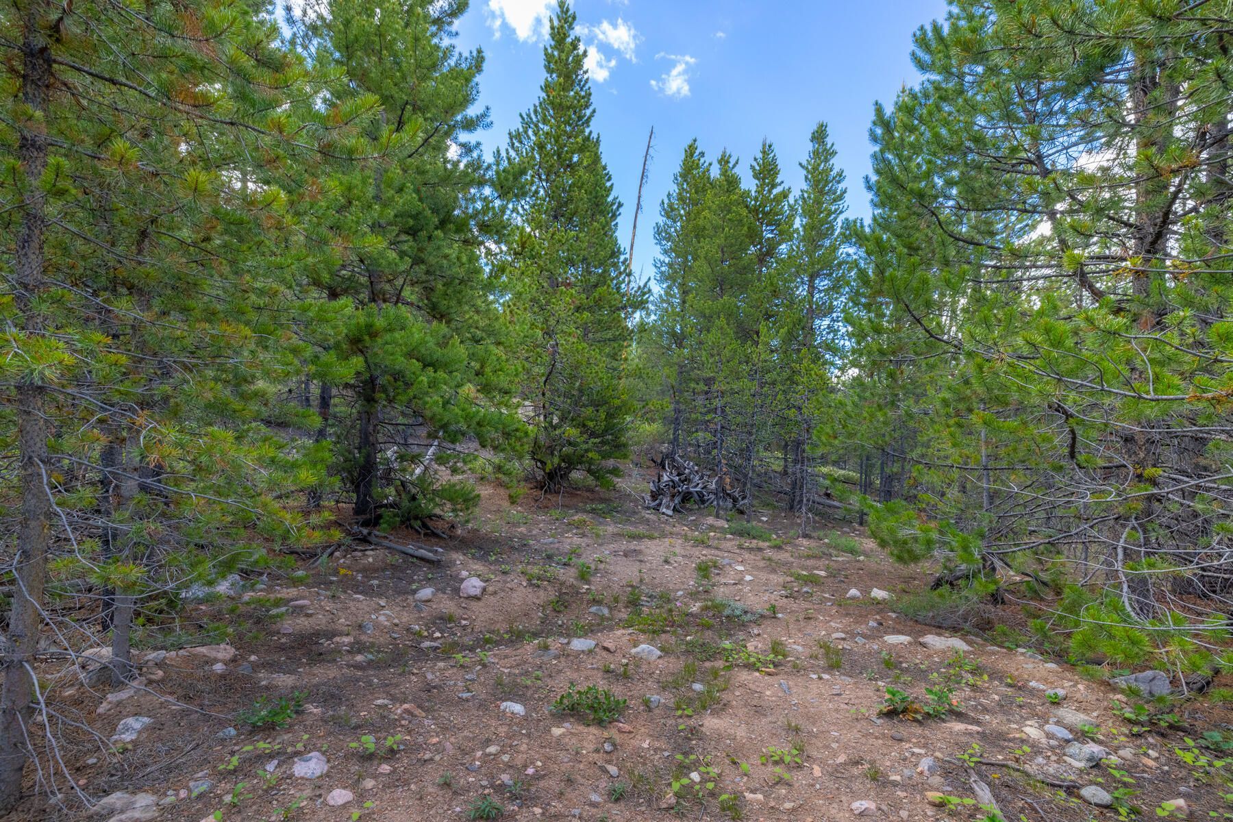  517 Giberson Lane, Frisco, CO, 80443 - 物件實景