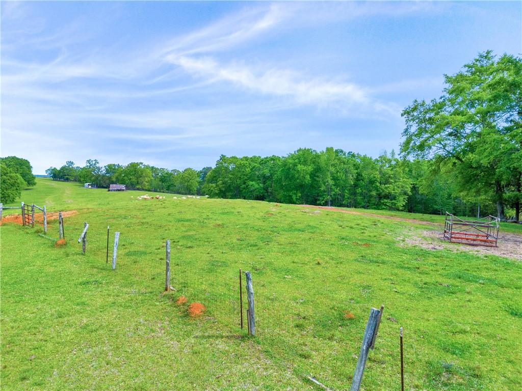 Shiloh, Georgia, 31826, United States, 3 Bedrooms Bedrooms, ,1 BathroomBathrooms,Land,For Sale,1974369